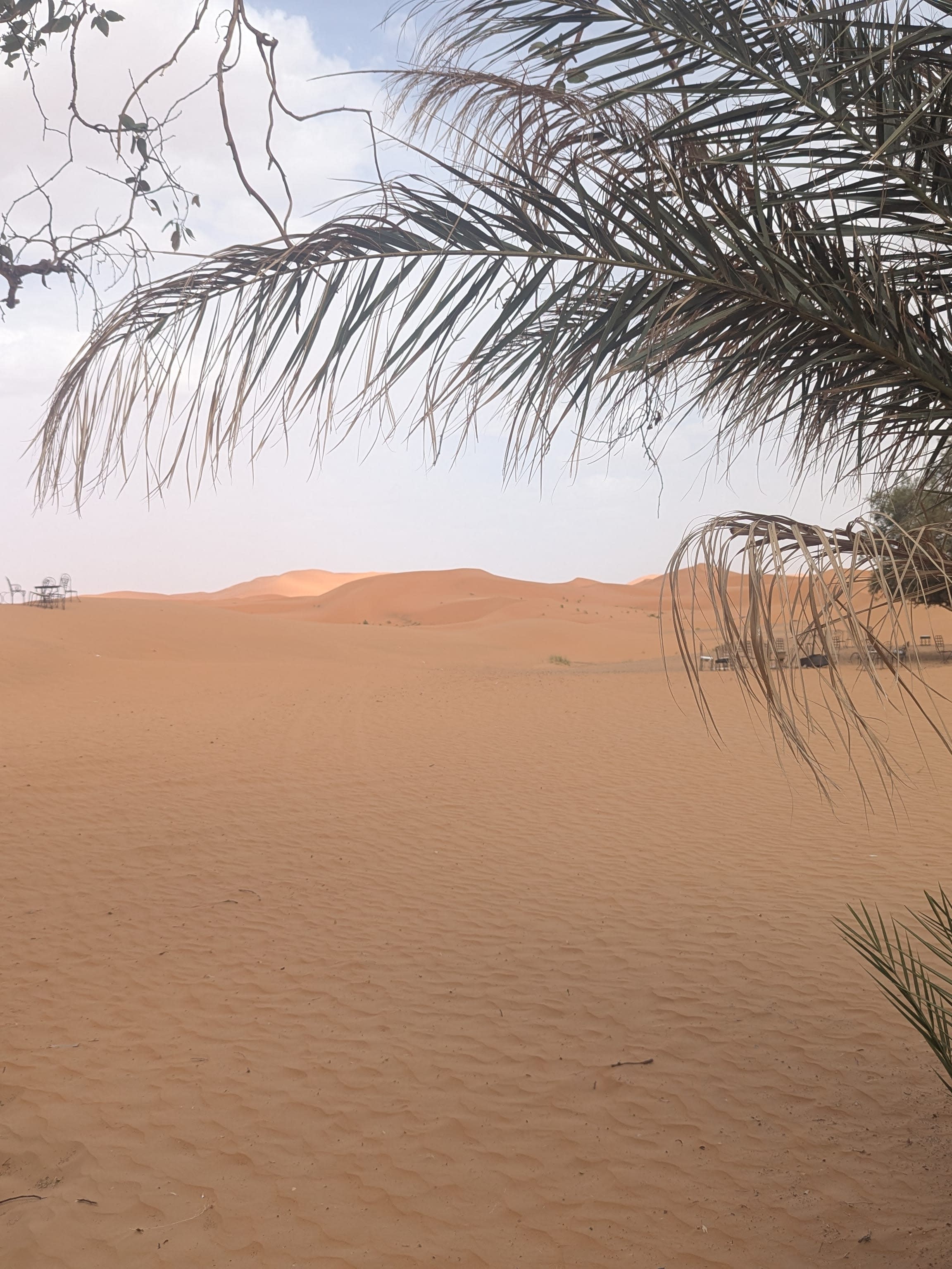 Advisor - An Incredible Experience Traveling Through the Sahara Desert in Morocco