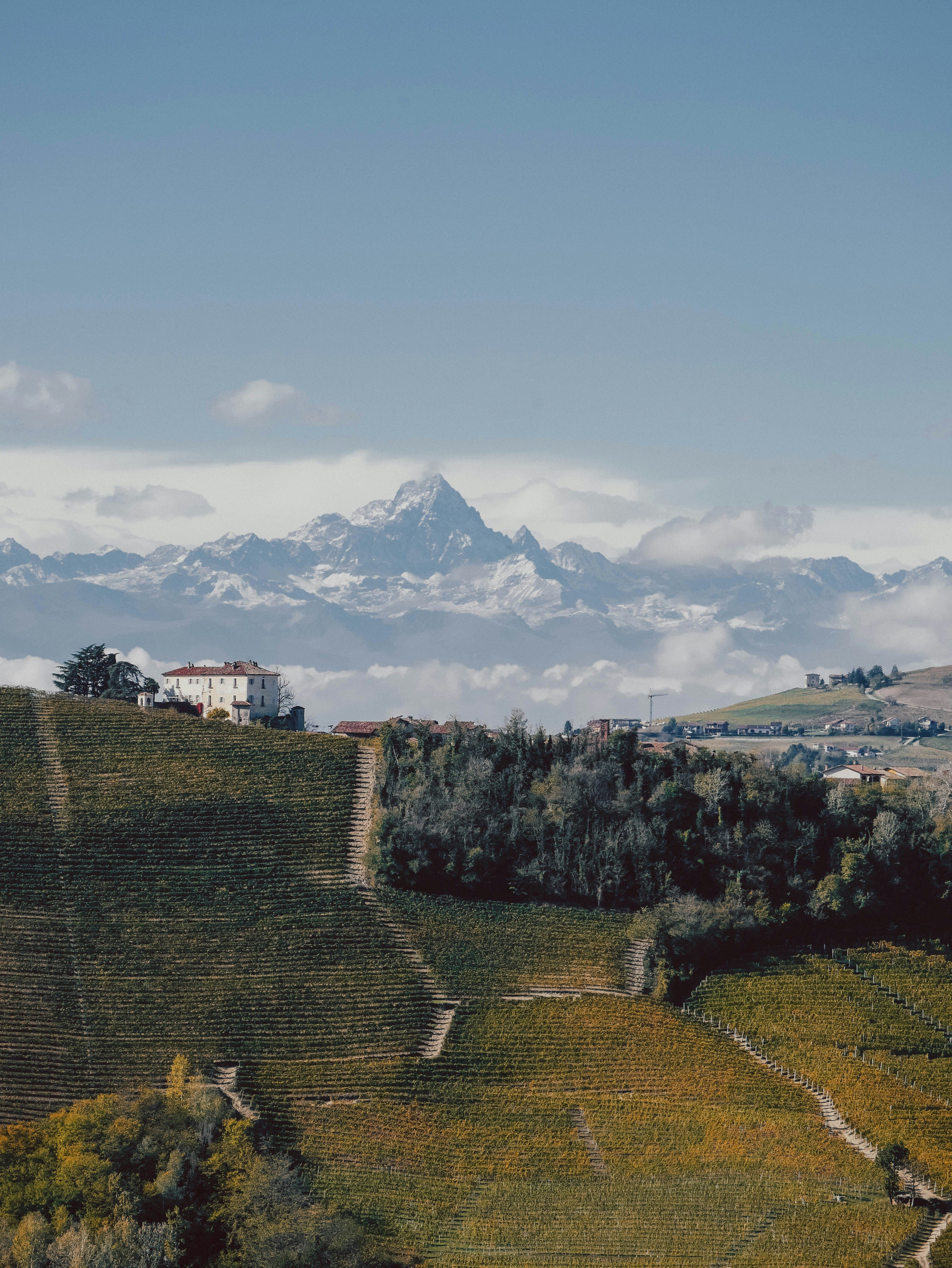 Advisor - Northern Italy Genealogy Itinerary