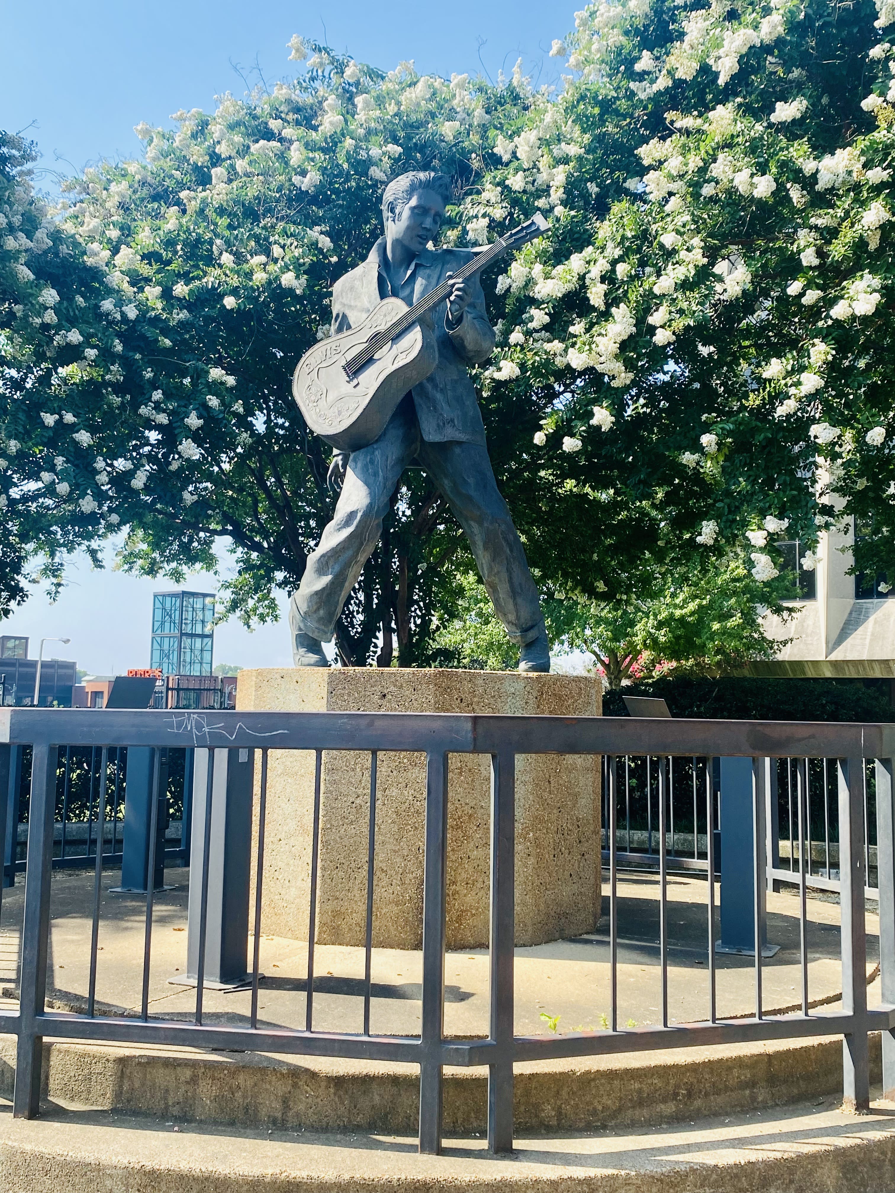Advisor - Memphis Magic: From Graceland to Beale Street