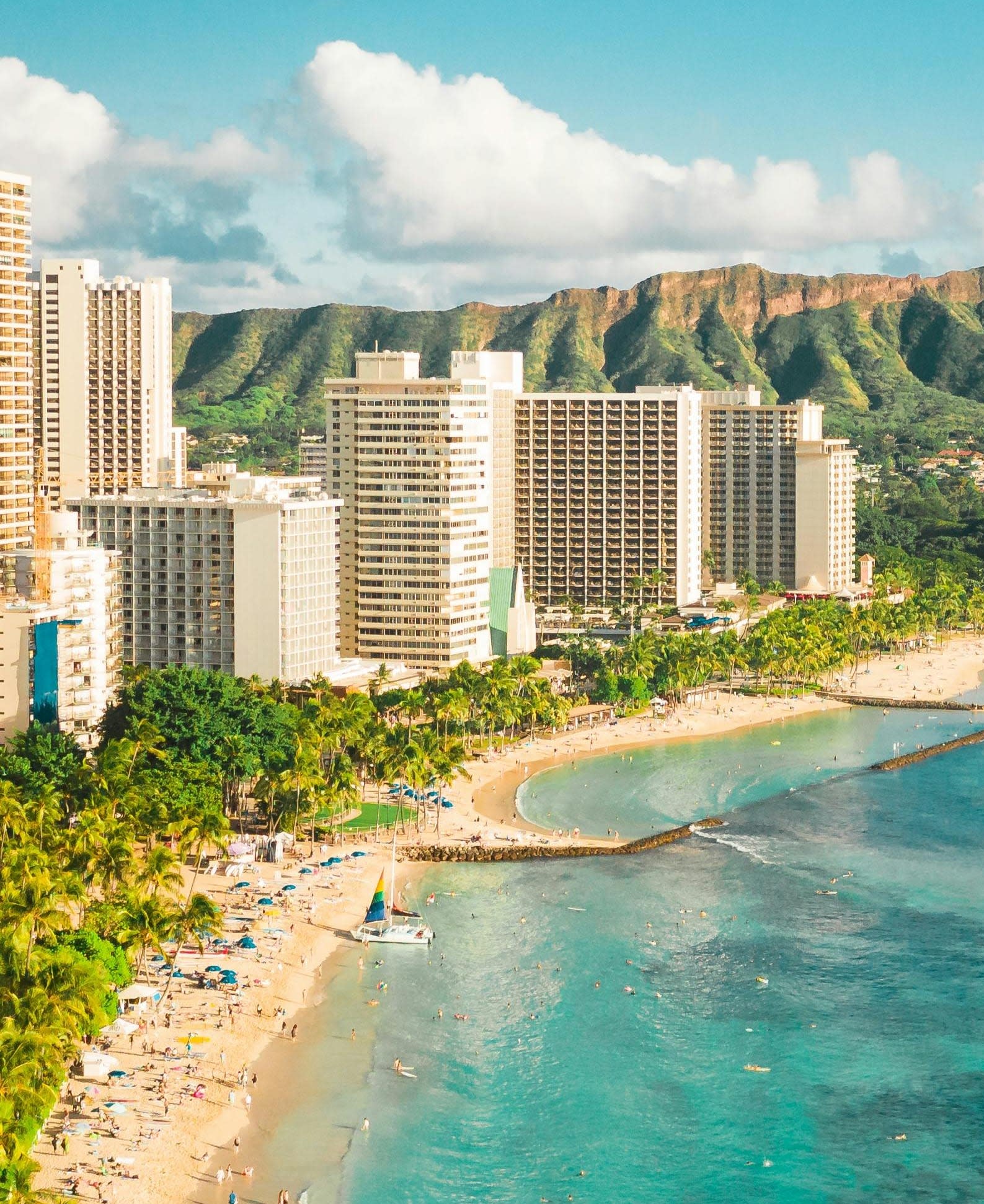 Advisor - A Bite of Oahu