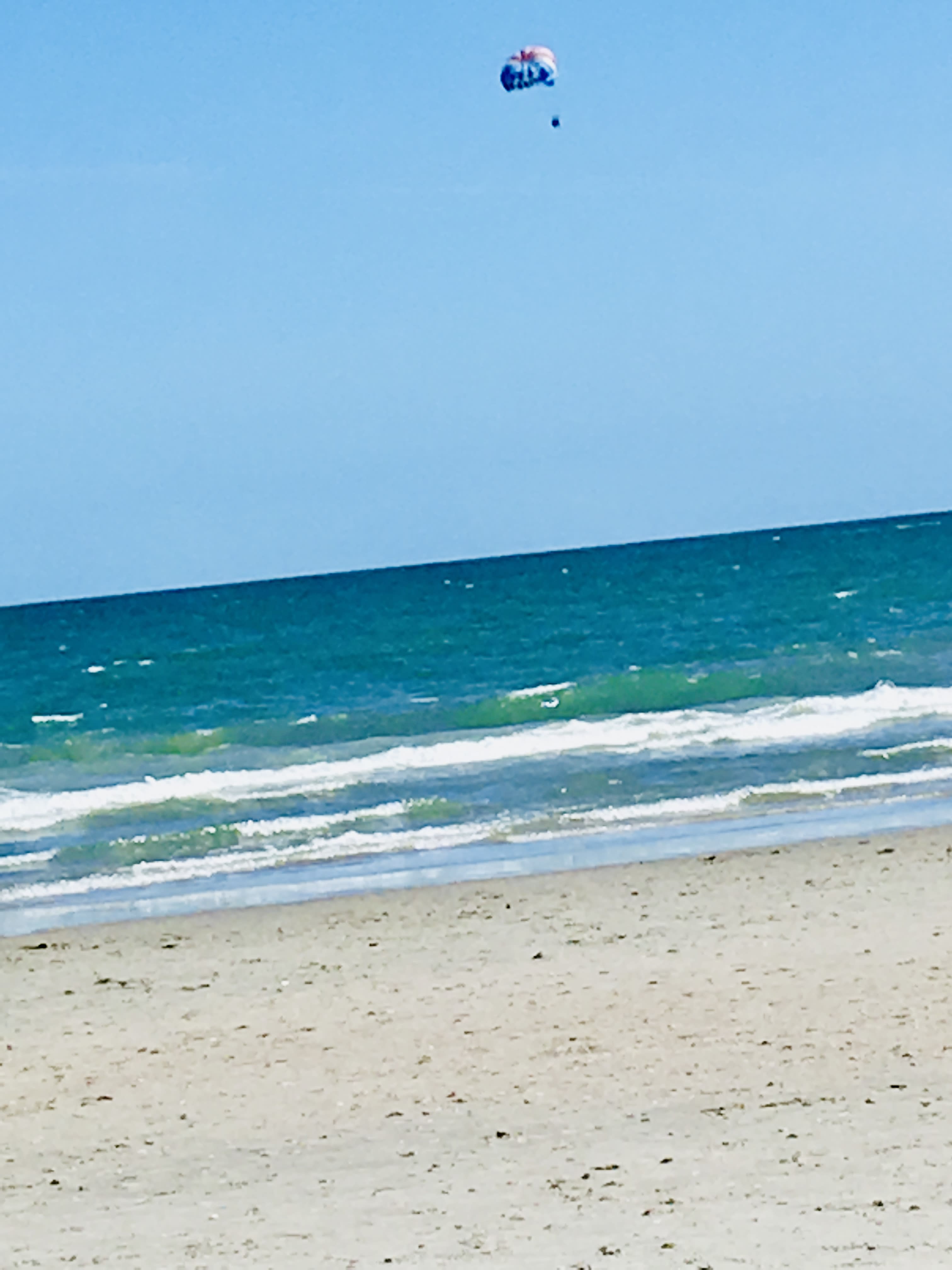 Advisor - Where Love Lives On: Myrtle Beach Memories