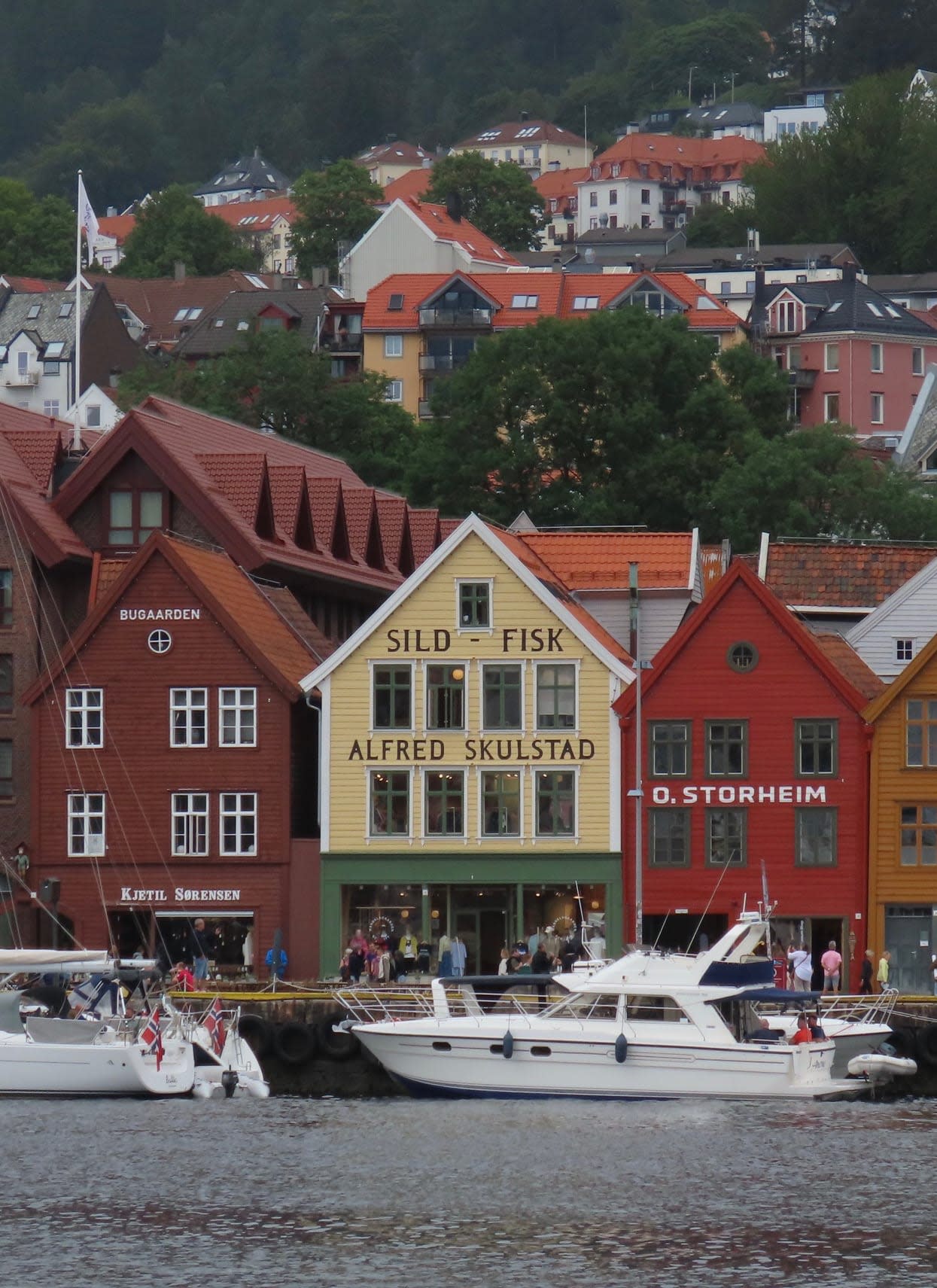 Advisor - An Unexpectedly Serene 5 Days in Bergen, Norway