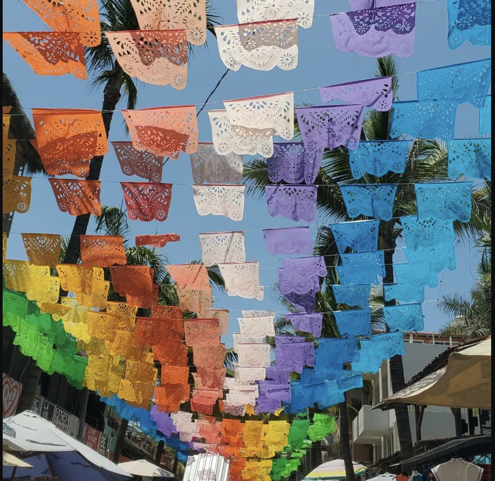 Exploring Puerto Vallarta: A Paradise of Adventure, Food & Nature