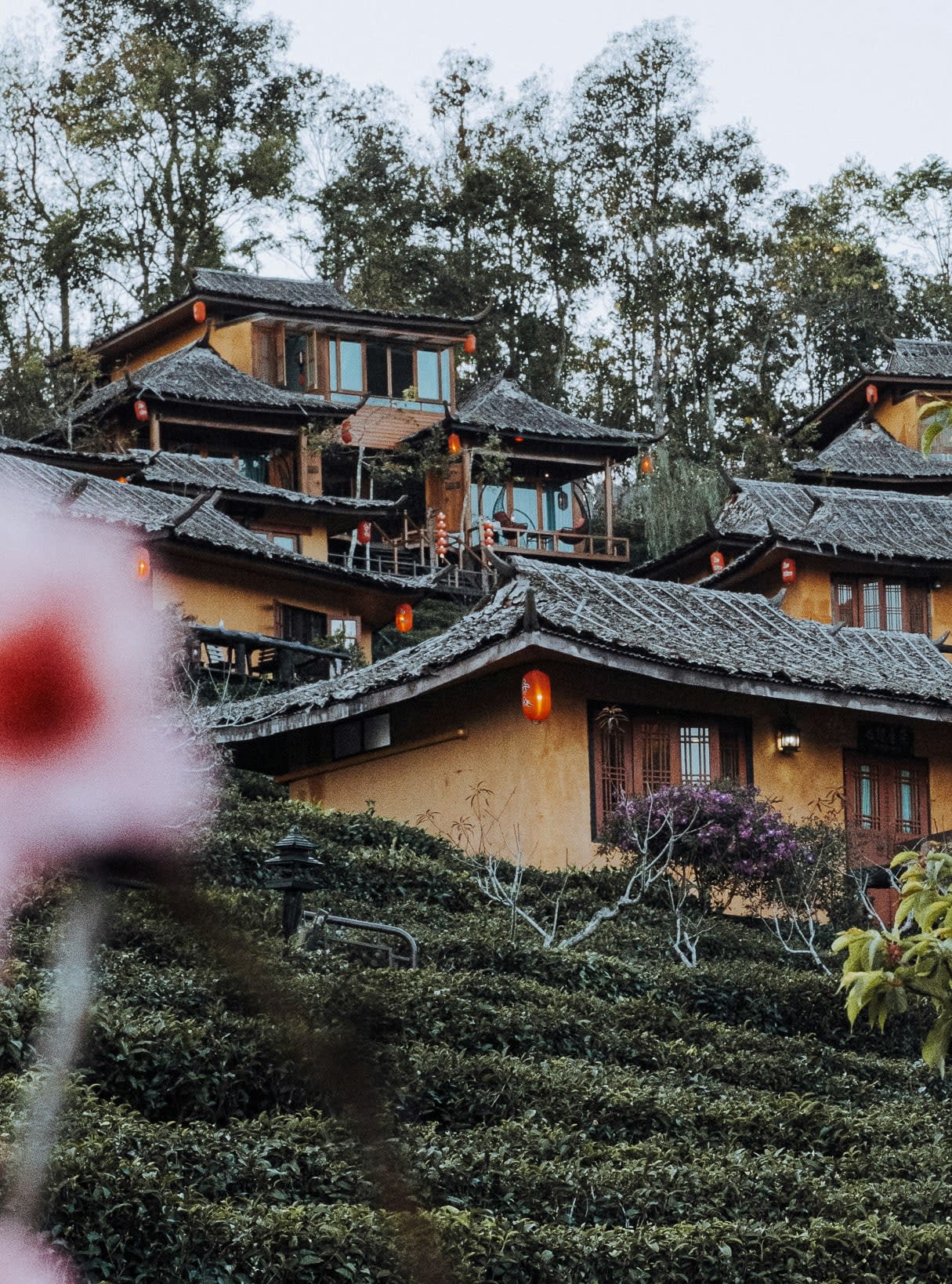 Advisor - Northern Thailand Beyond Chiang Mai
