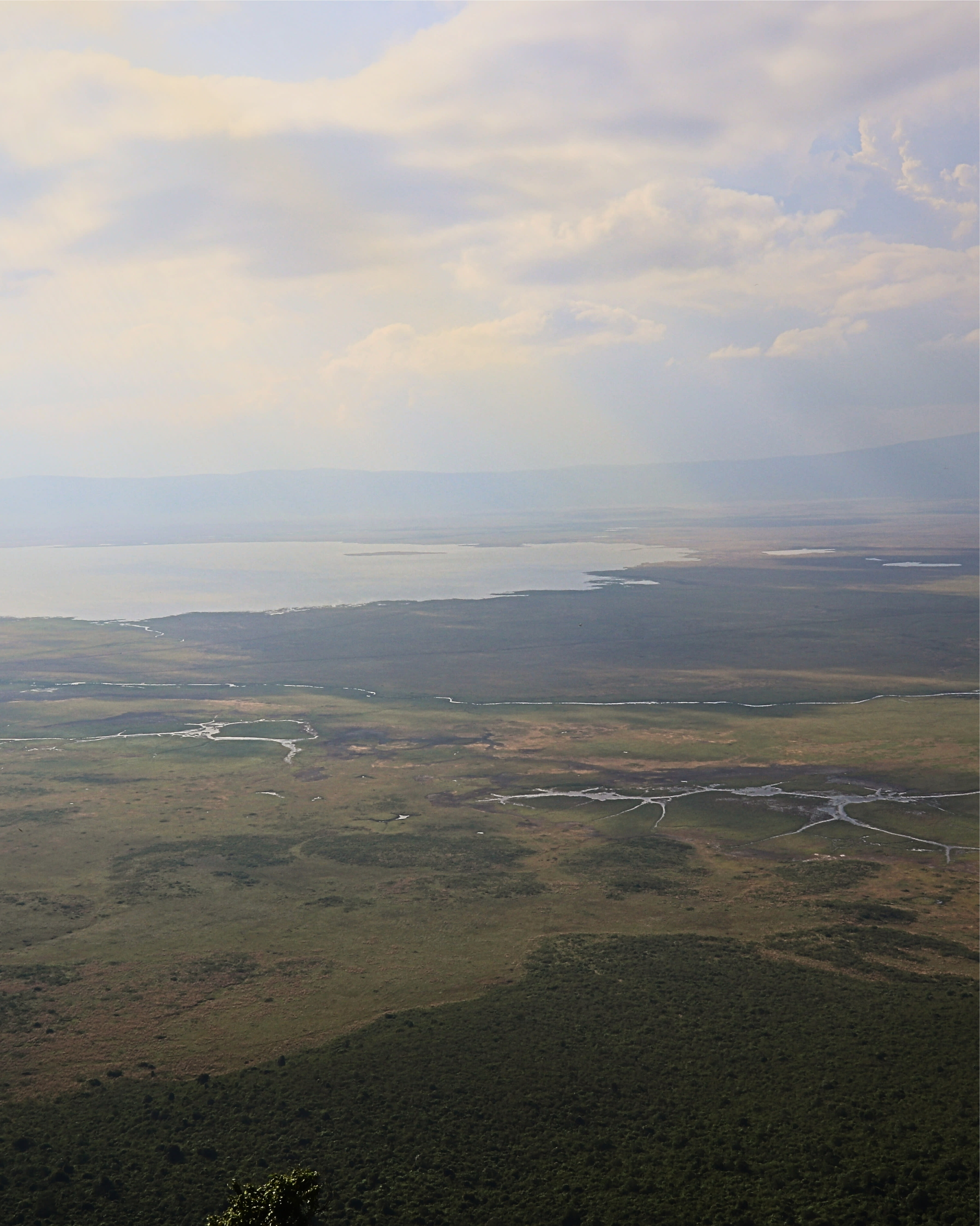 Ngorongoro Crater Safari: Inside Africa’s Hidden Wonder