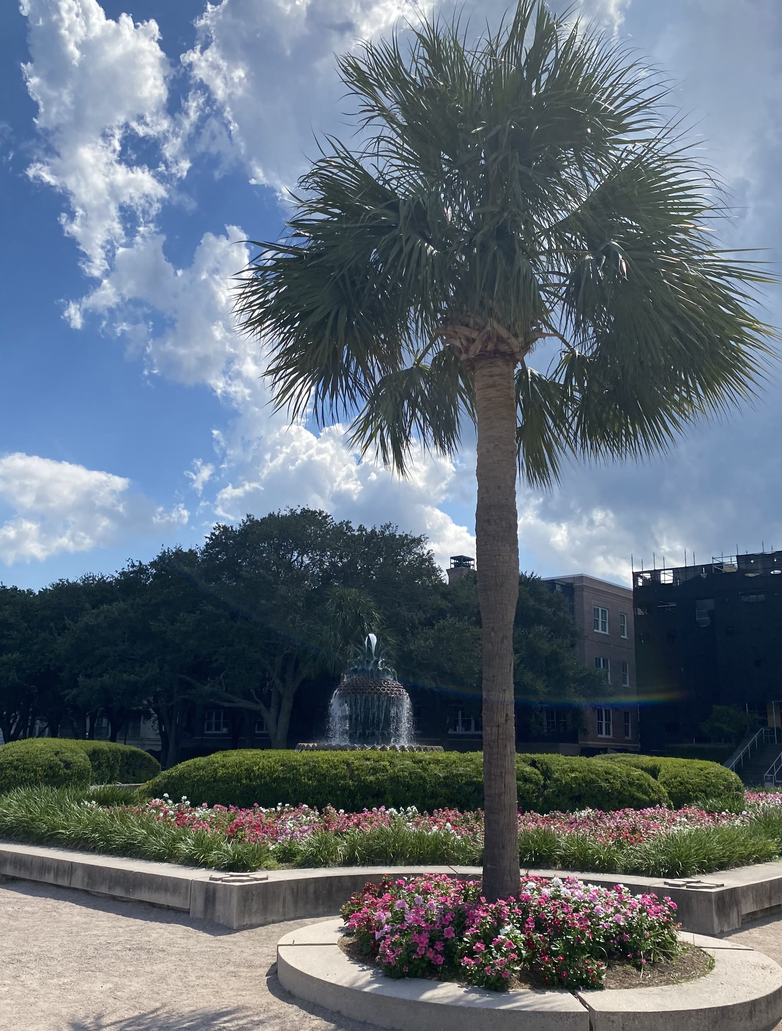 Advisor - Charleston & Folly Beach: A 3-Day Coastal Journey
