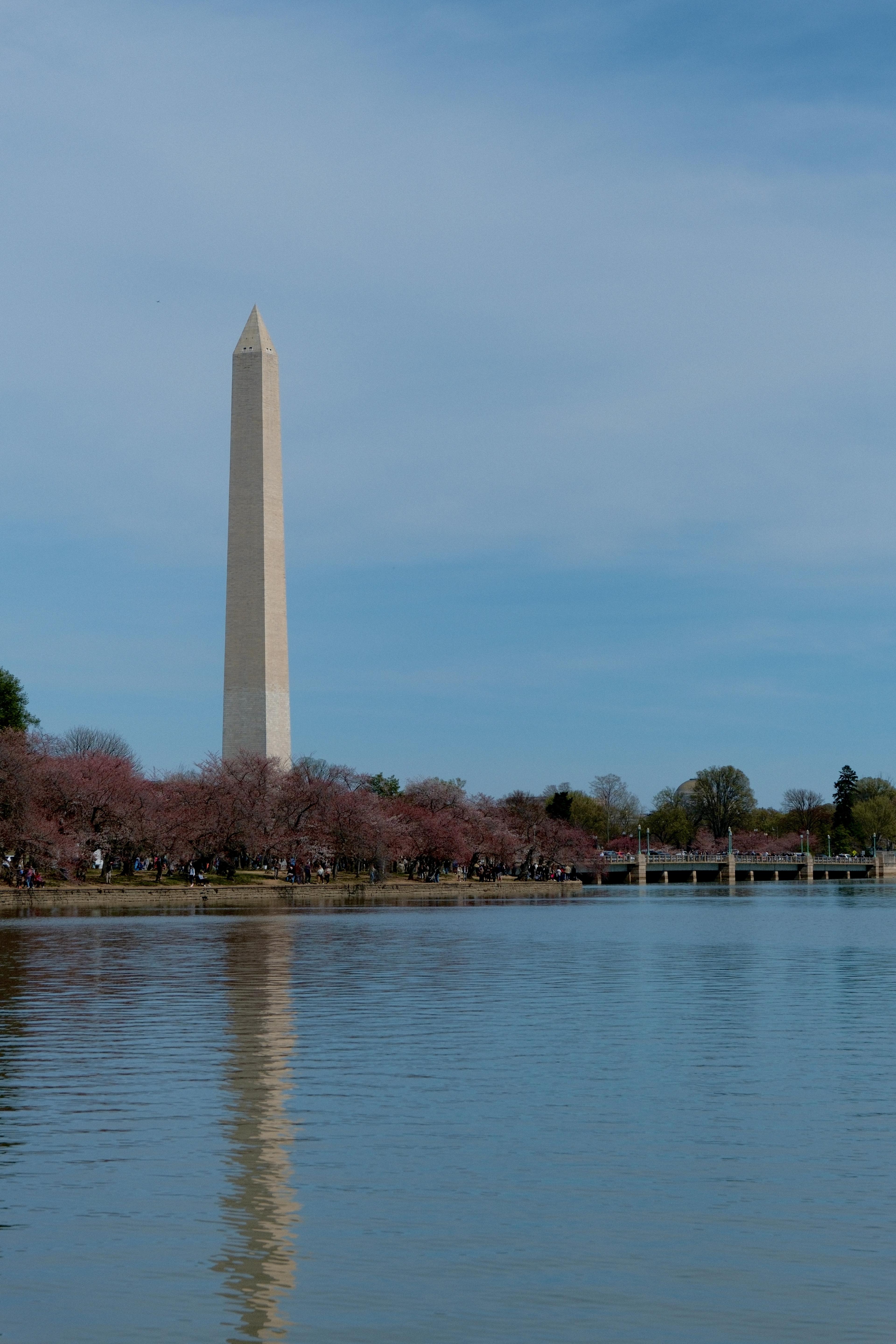 Advisor - Spend a Long Weekend in the US Capital