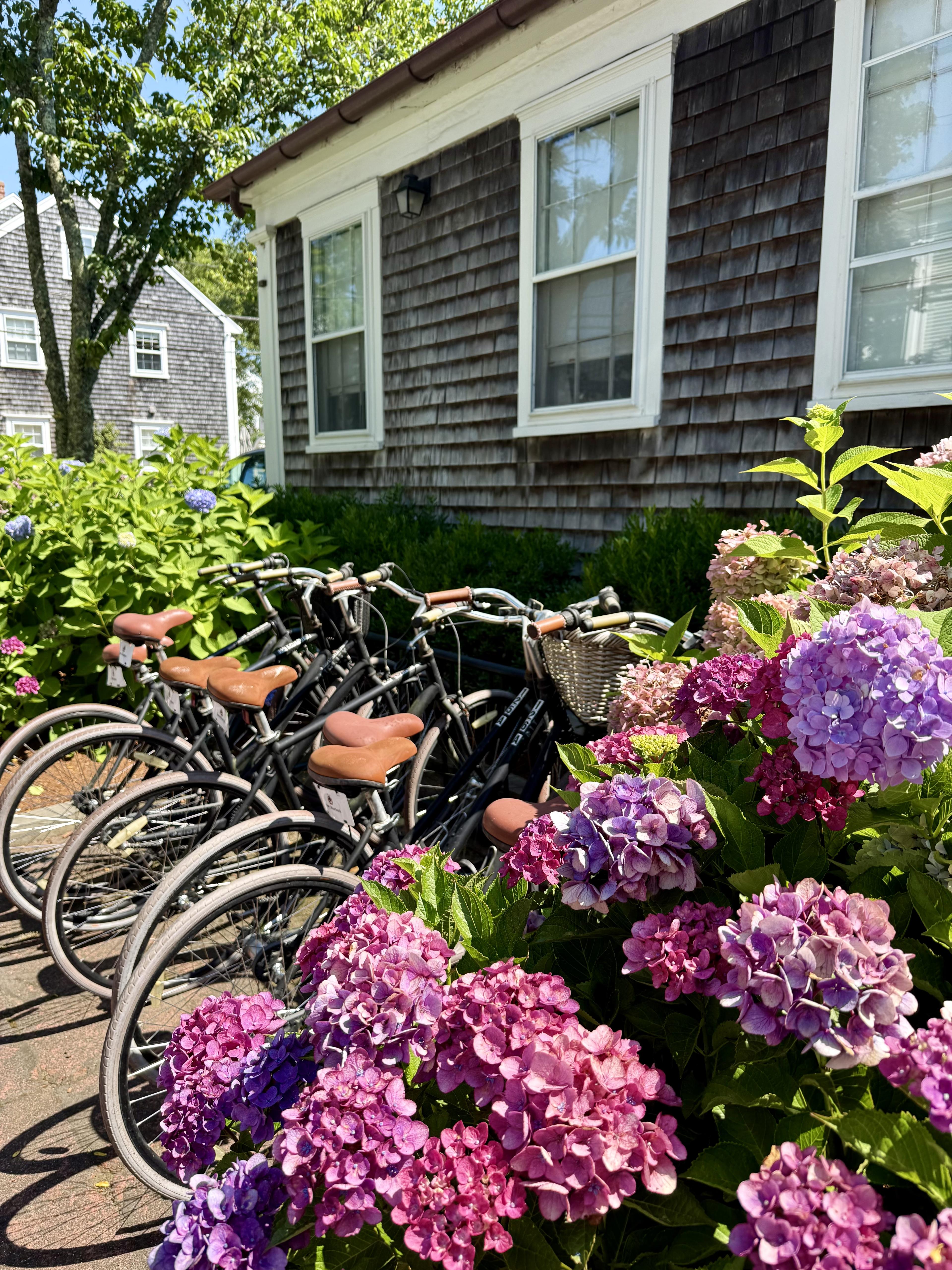 Advisor - The Perfect Summer Weekend Getaway in Nantucket