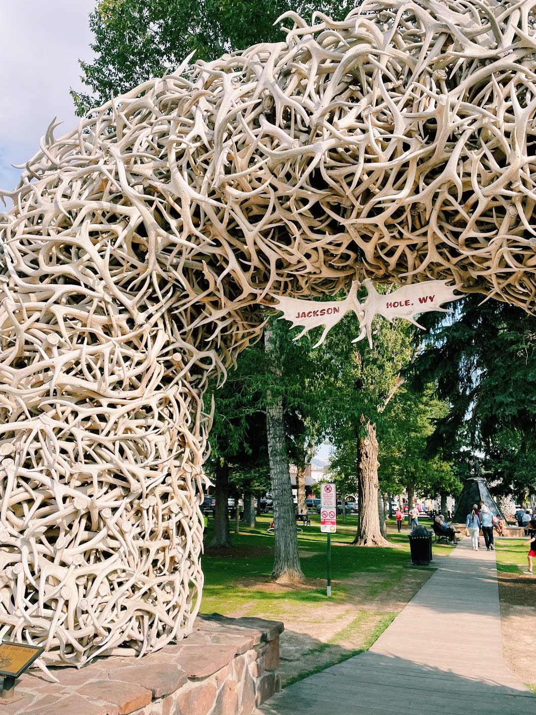 Advisor - A Local's Guide to Jackson, Wyoming: All Seasons