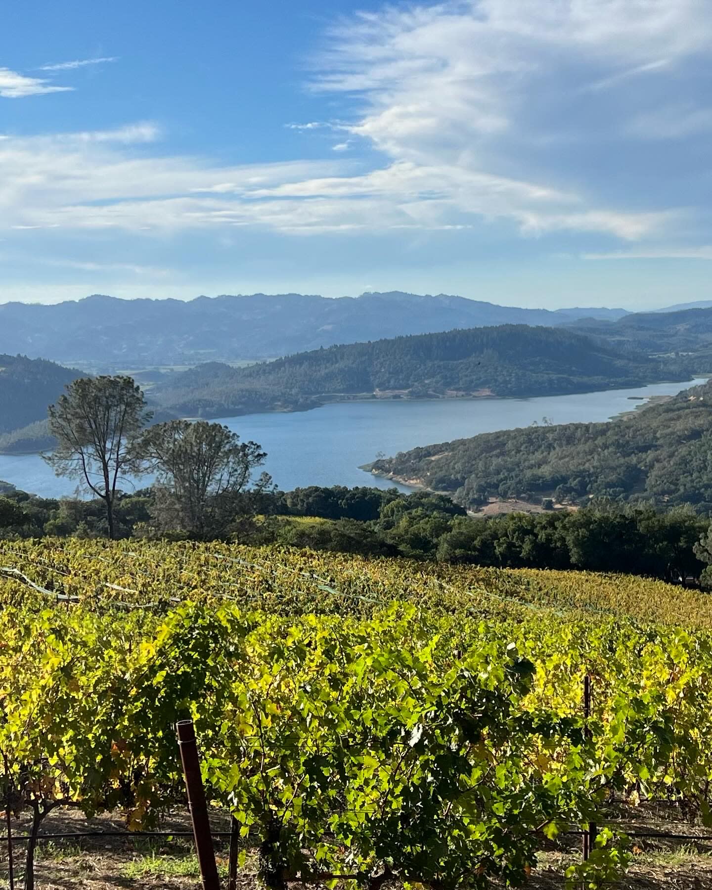 Advisor - Napa Uncorked: Your Insider's Guide to California Wine Country