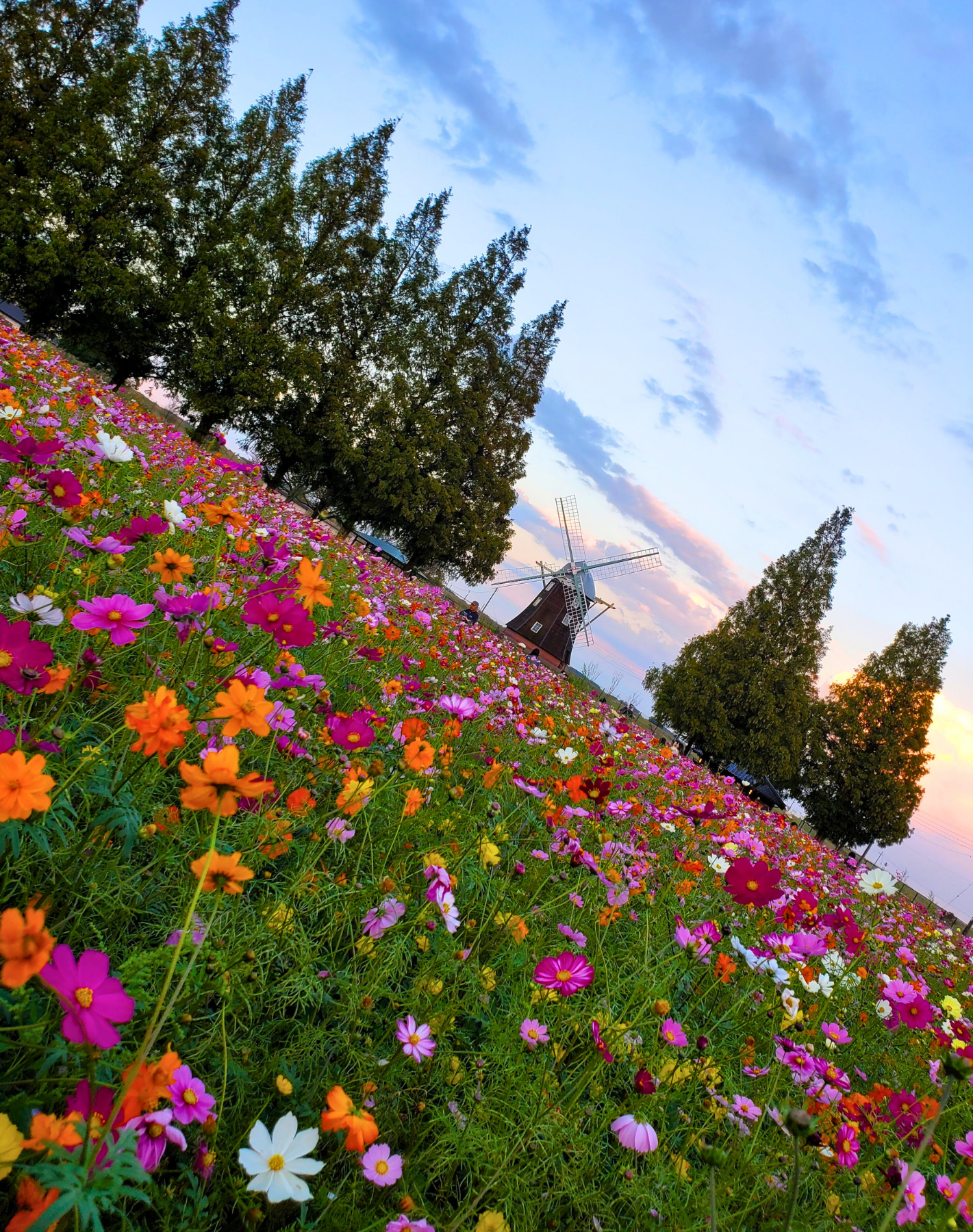 7 Unforgettable Day Trips from Tokyo for Every Type of Traveler