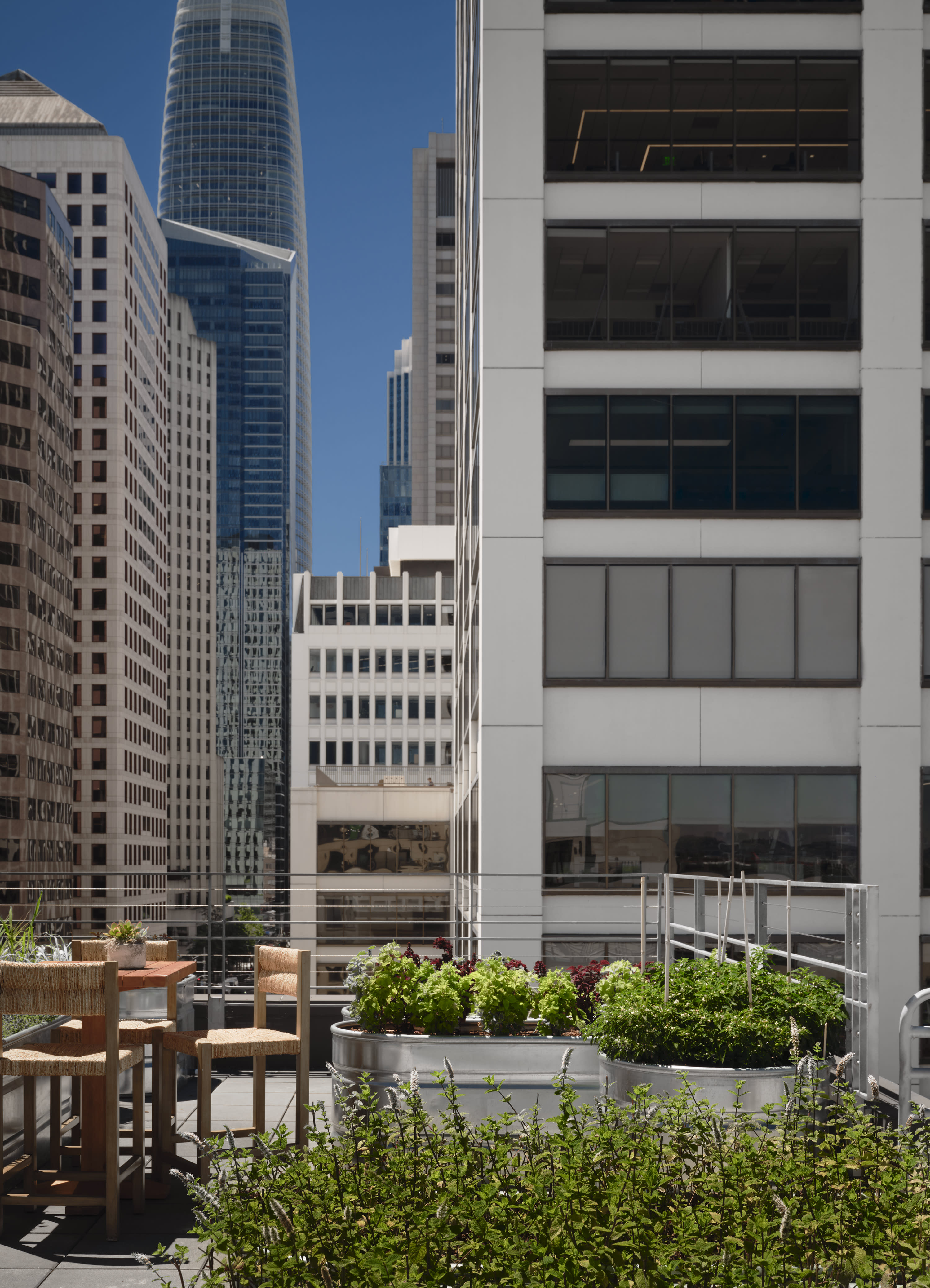 From Chez Panisse to Quince: A Farm-to-Table Tour of the Bay Area