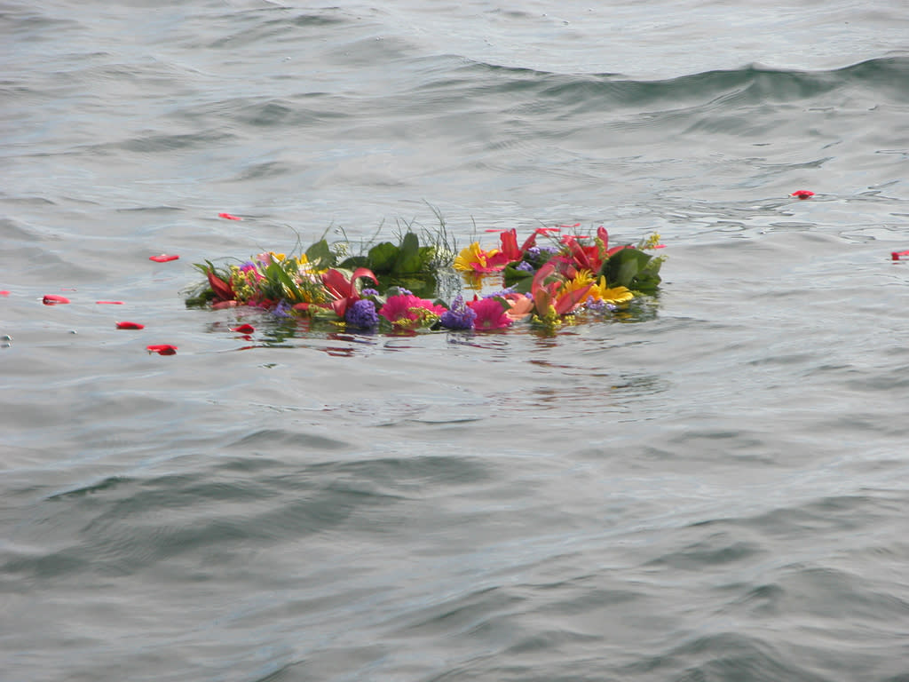 Advisor - Memorial Travel in Seattle