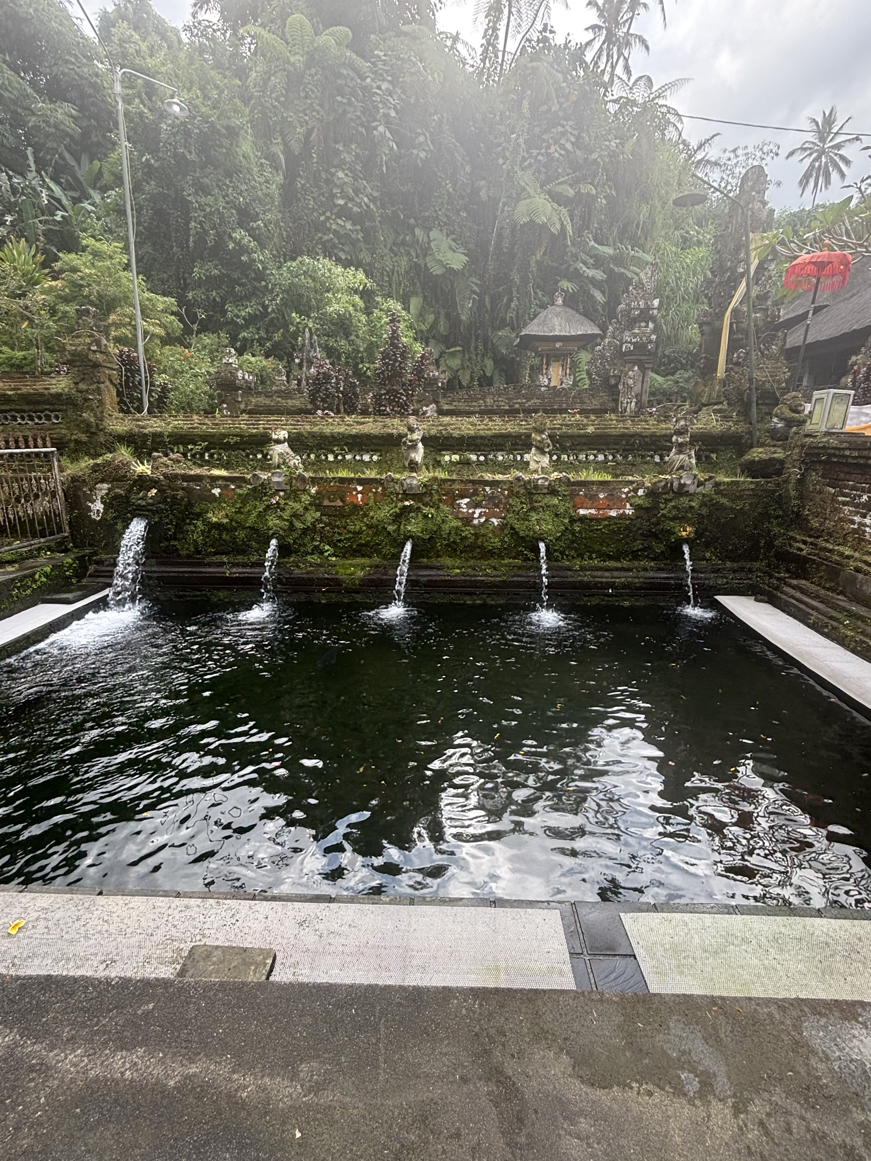 Advisor - Bali: Renewal for the Soul
