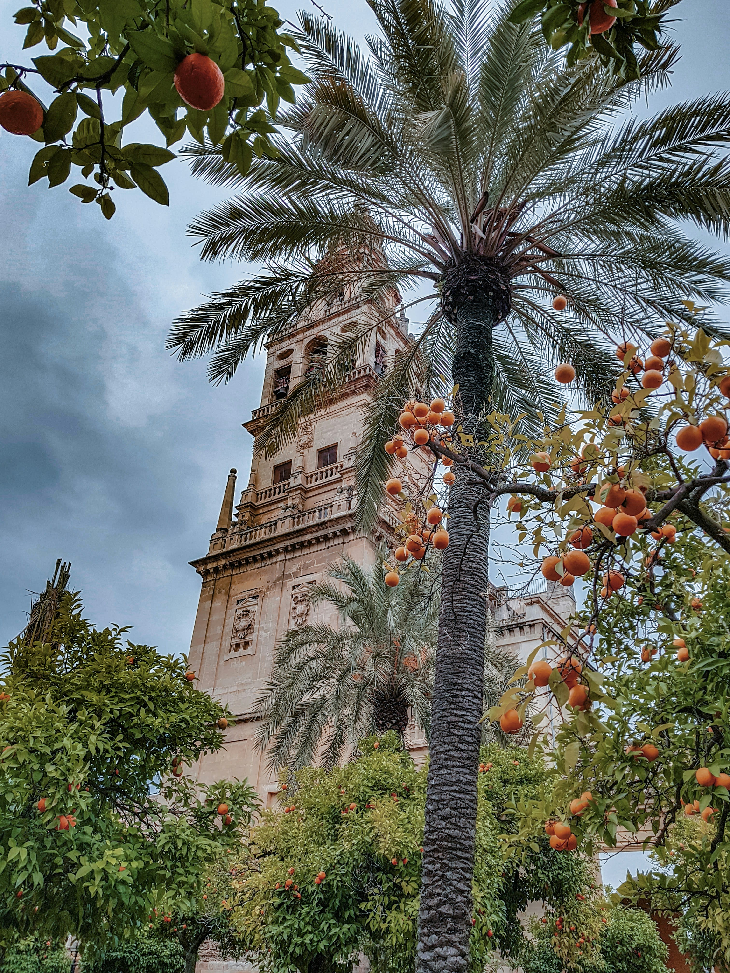Advisor - Two Weeks in Southern Spain: Road Trip Itinerary