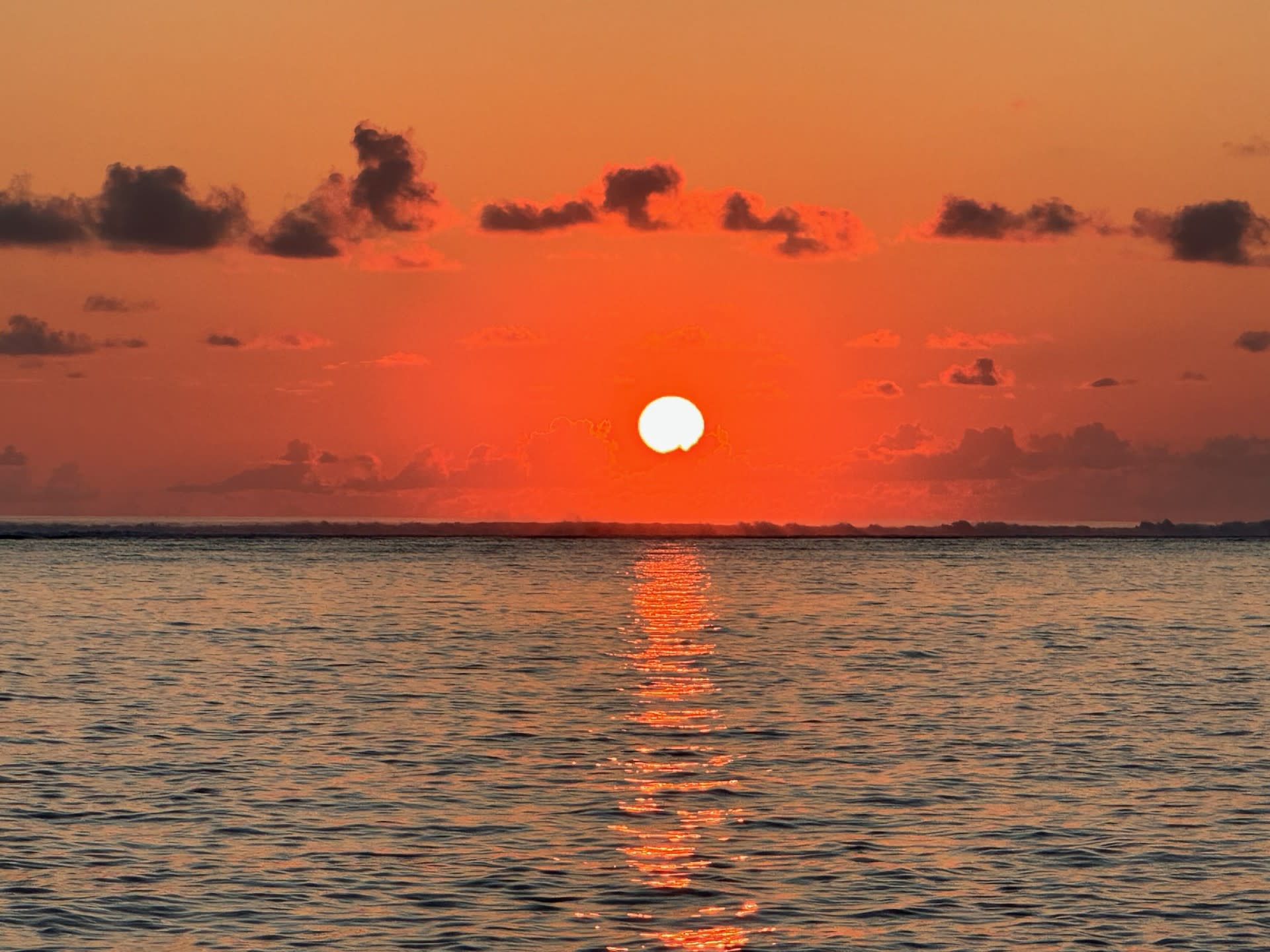 Advisor - Tropical Milestones in the Maldives