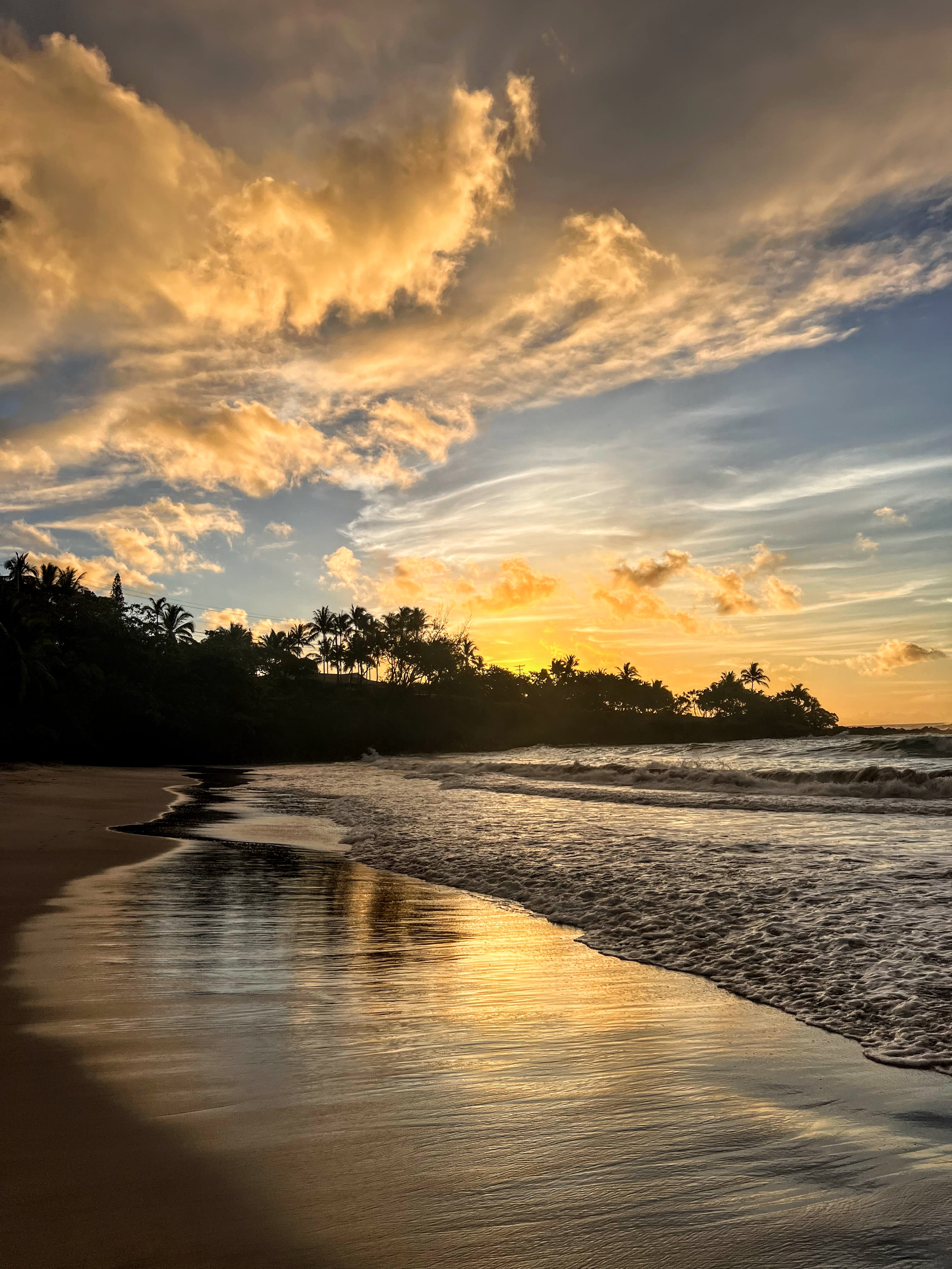Advisor - Paradise Calls: The Ultimate 7-Day Maui Itinerary