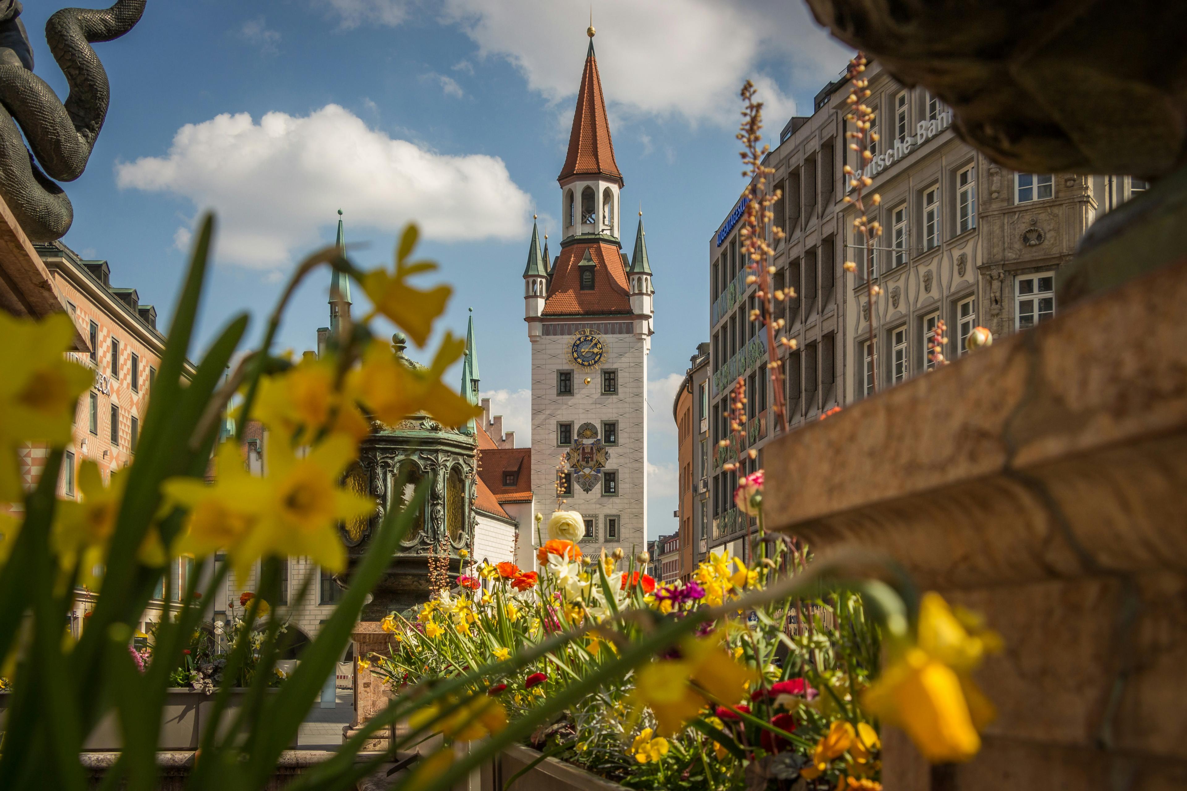 Advisor - Exploring Munich during Oktoberfest