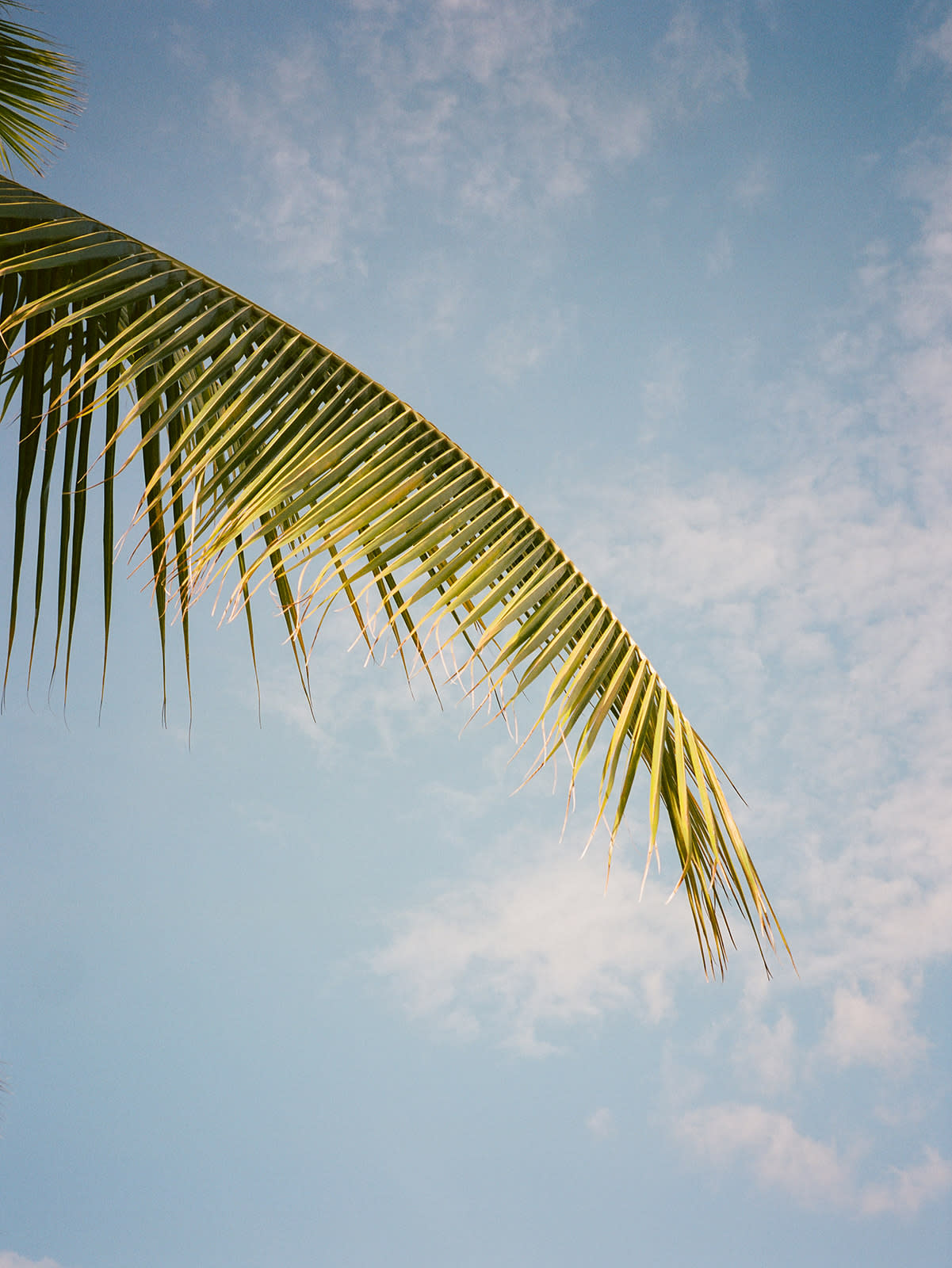 Kona Village, A Rosewood Resort: Ultimate Destination Wedding