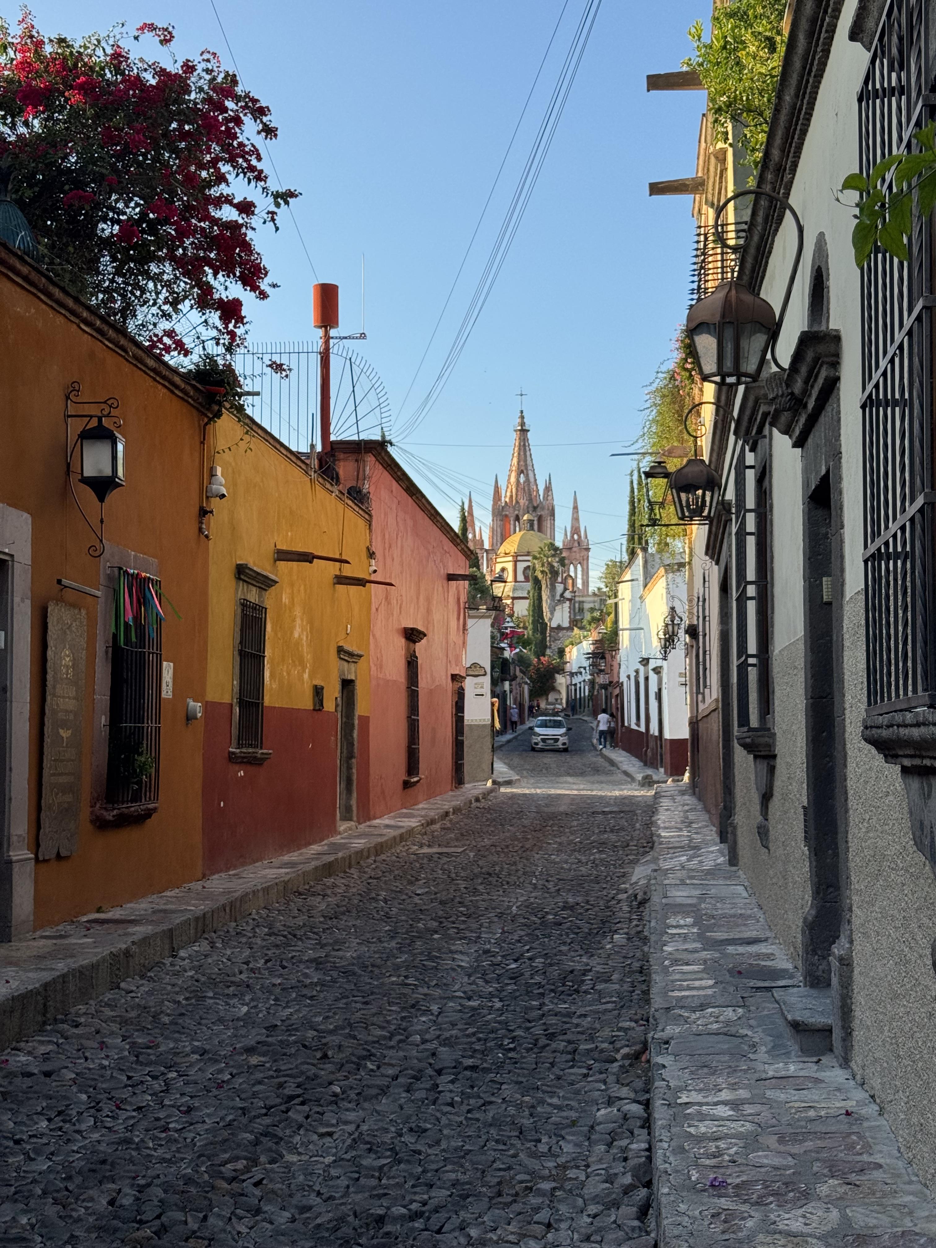 Advisor - The Ultimate Guide to San Miguel de Allende
