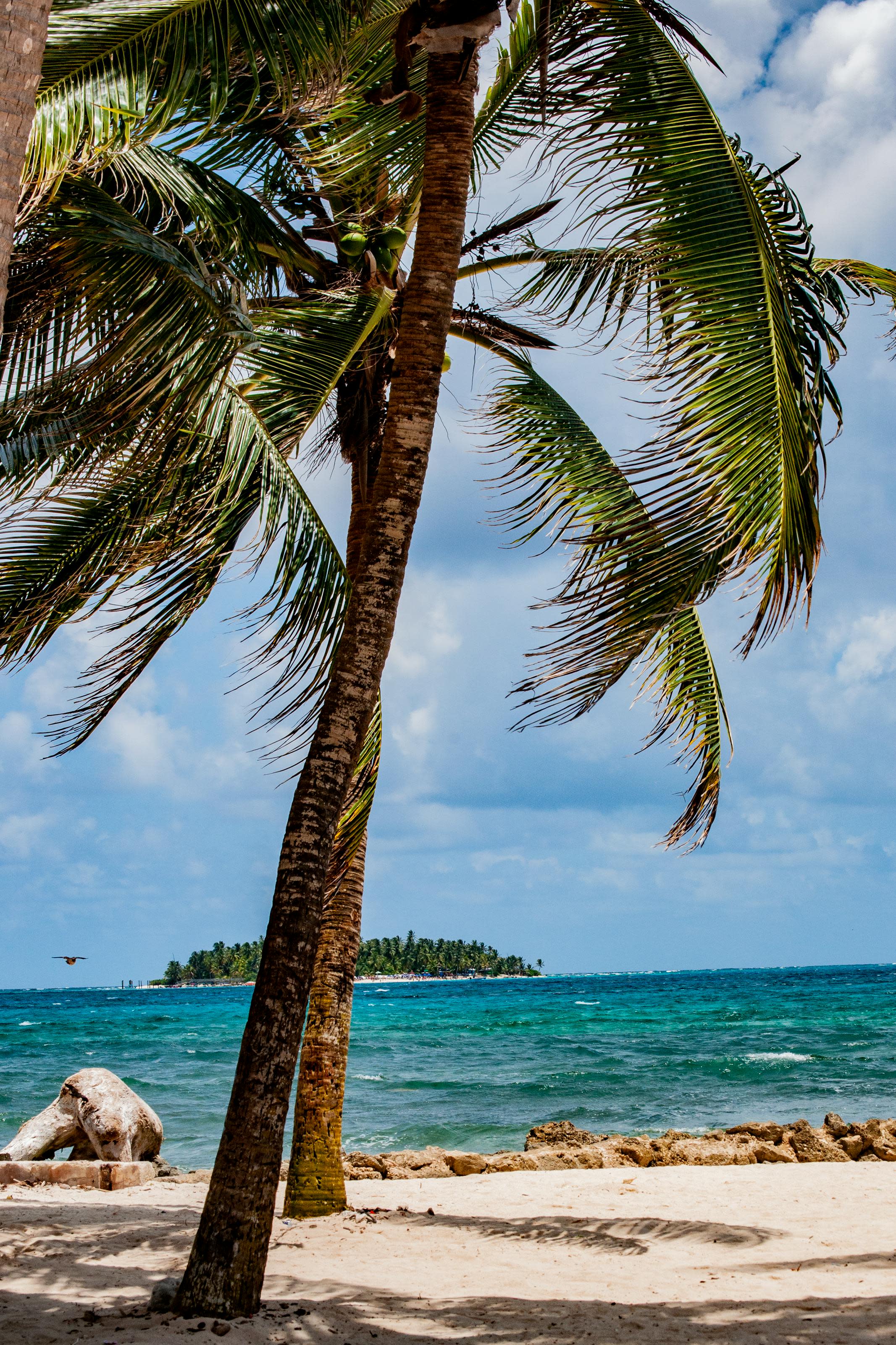 Caribbean Islands by Season: Where to Go Every Month of the Year