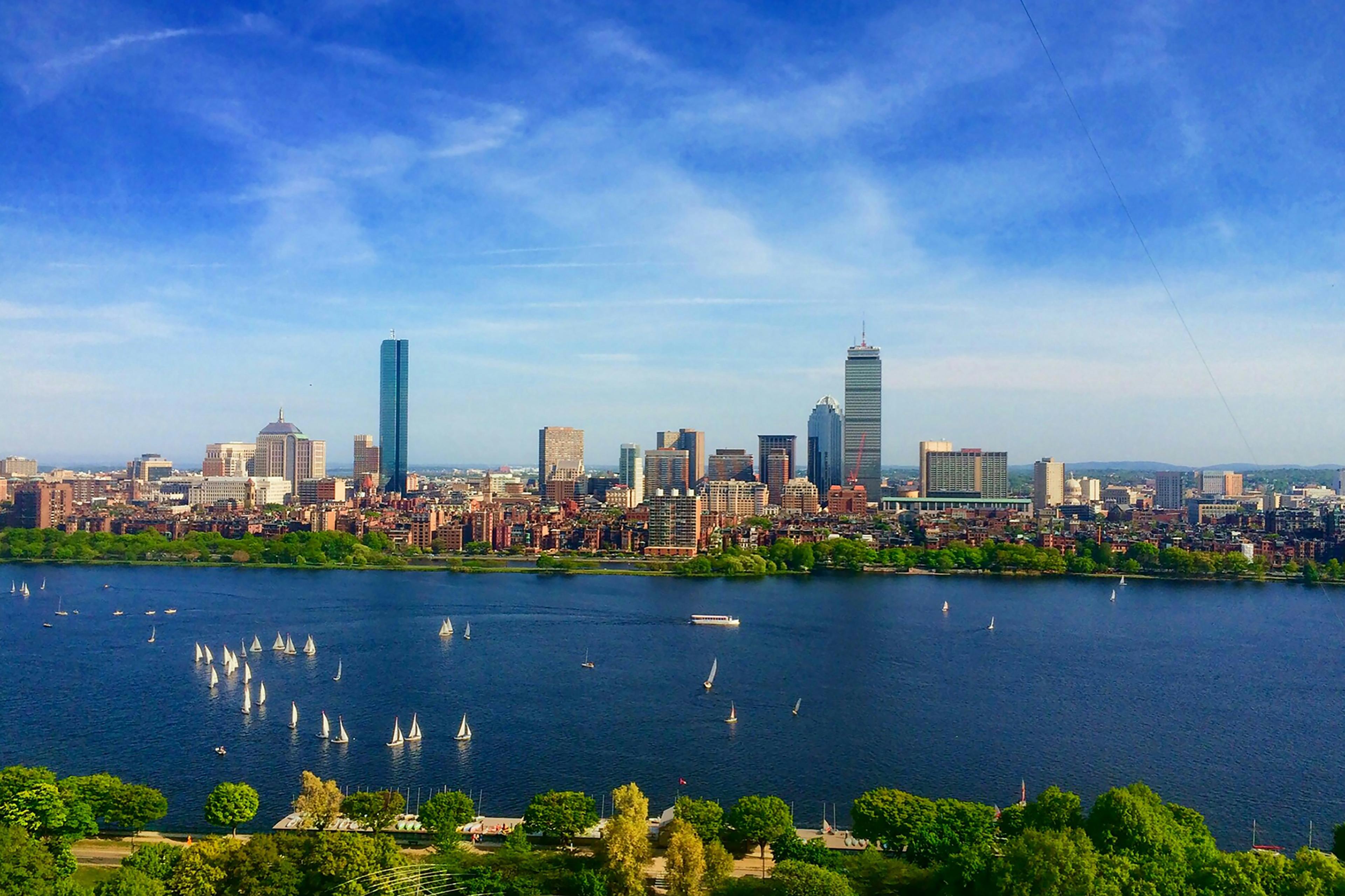Advisor - Finding Some Freedom in Boston