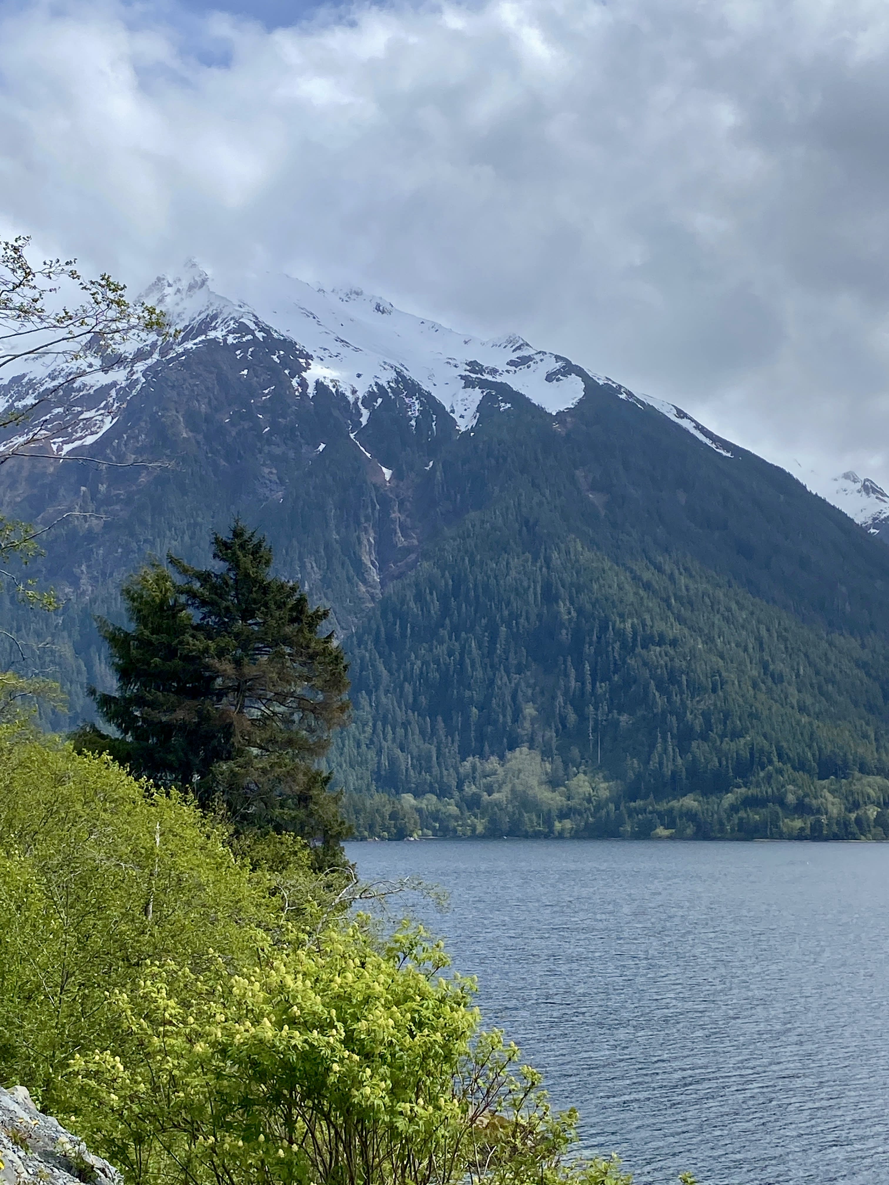 Advisor - Alaskan Adventure: A Nature Lover's Paradise