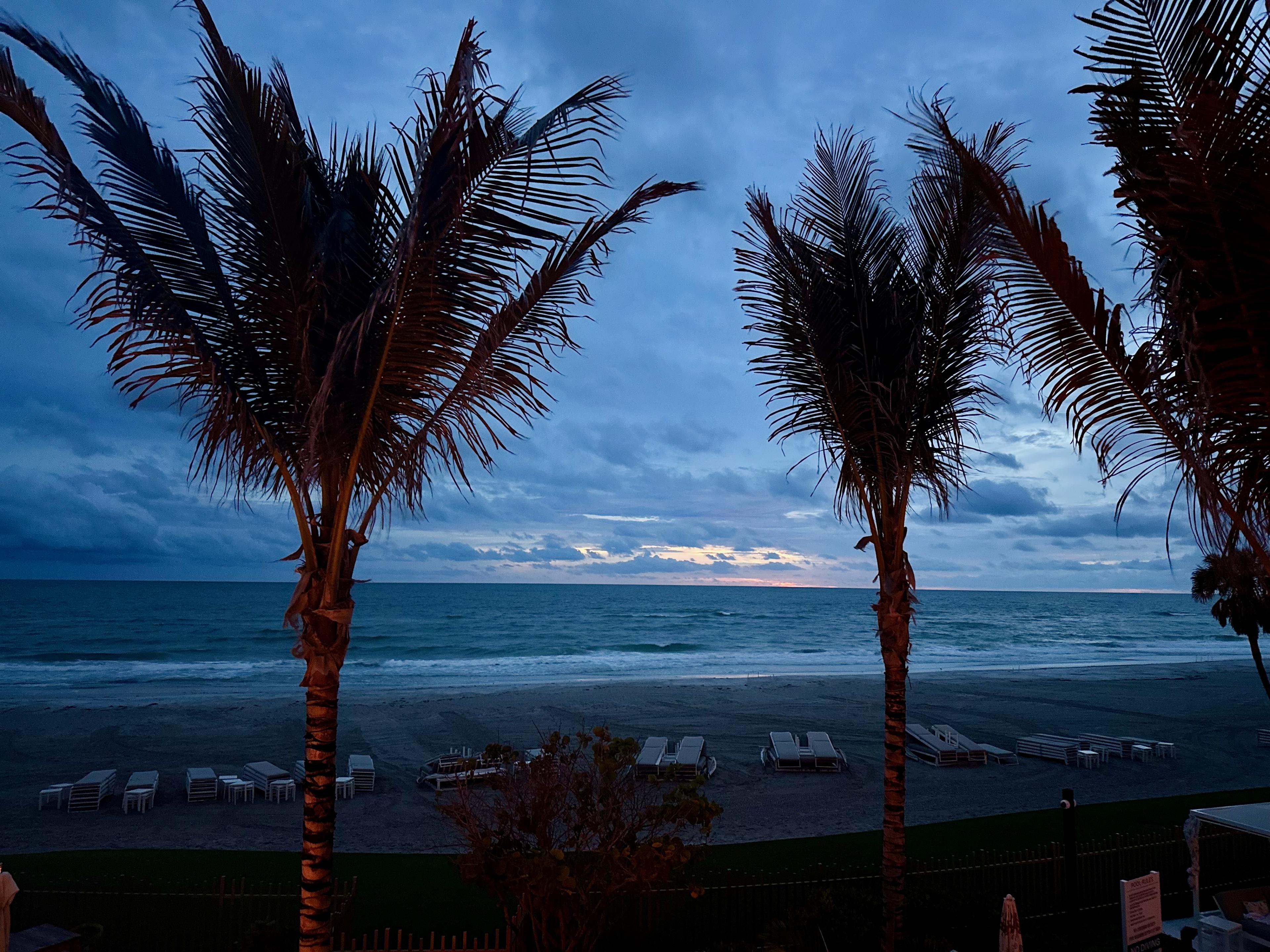 Advisor - Gulf Coast Getaway: Sarasota & Longboat Key