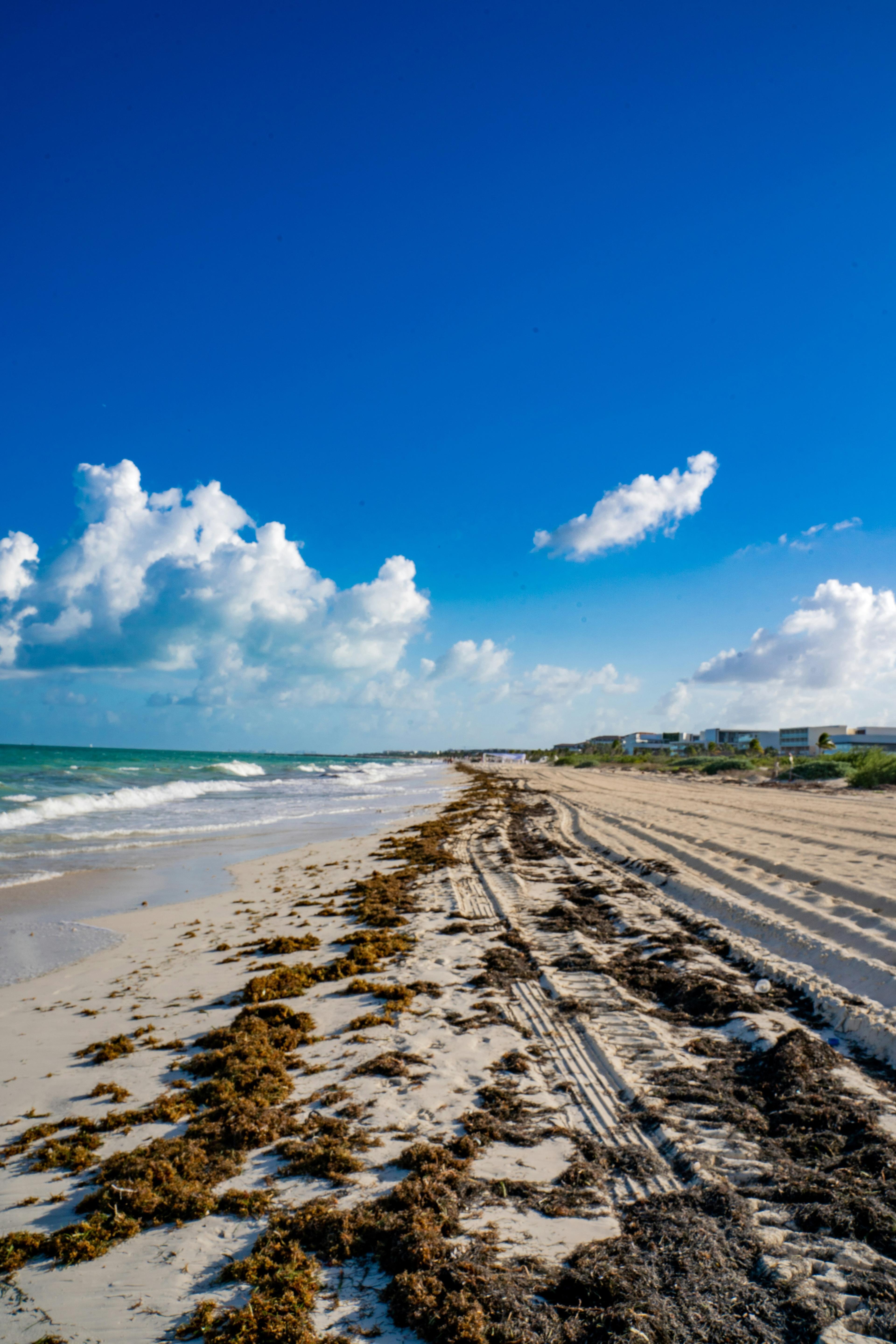 Advisor - Beyond Cancún: An Elegant Escape to Costa Mujeres