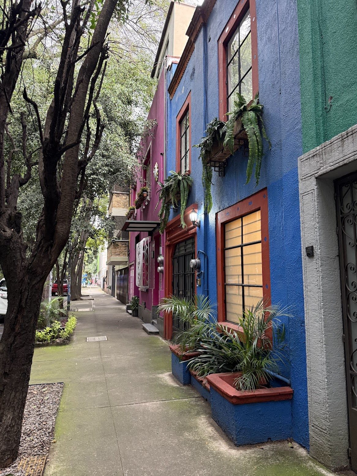 Advisor - 3 Days in Mexico City: Incredible Food, Museums & Adventures