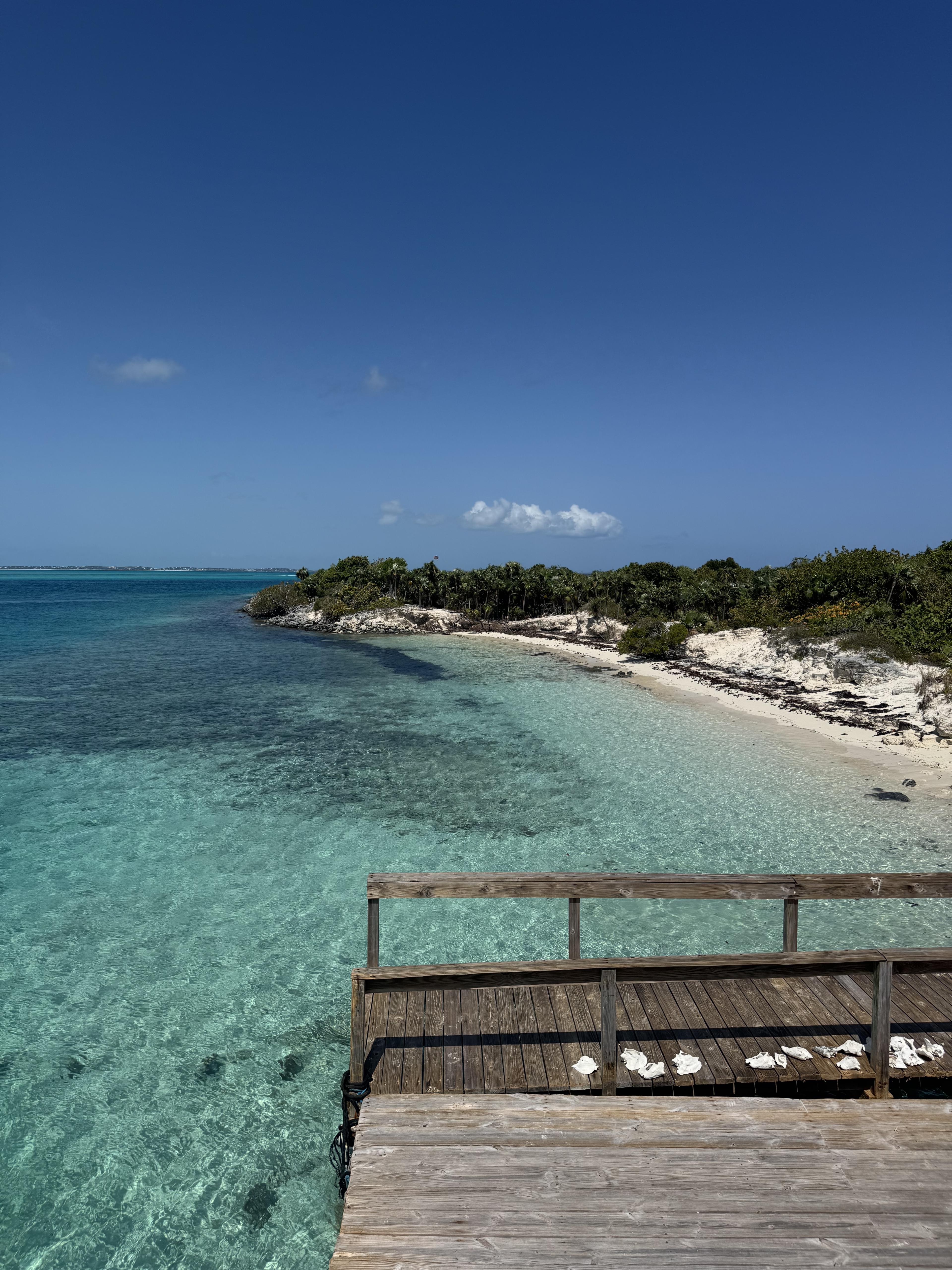 Advisor - A Family-Friendly Vacation at The Palms Turks and Caicos