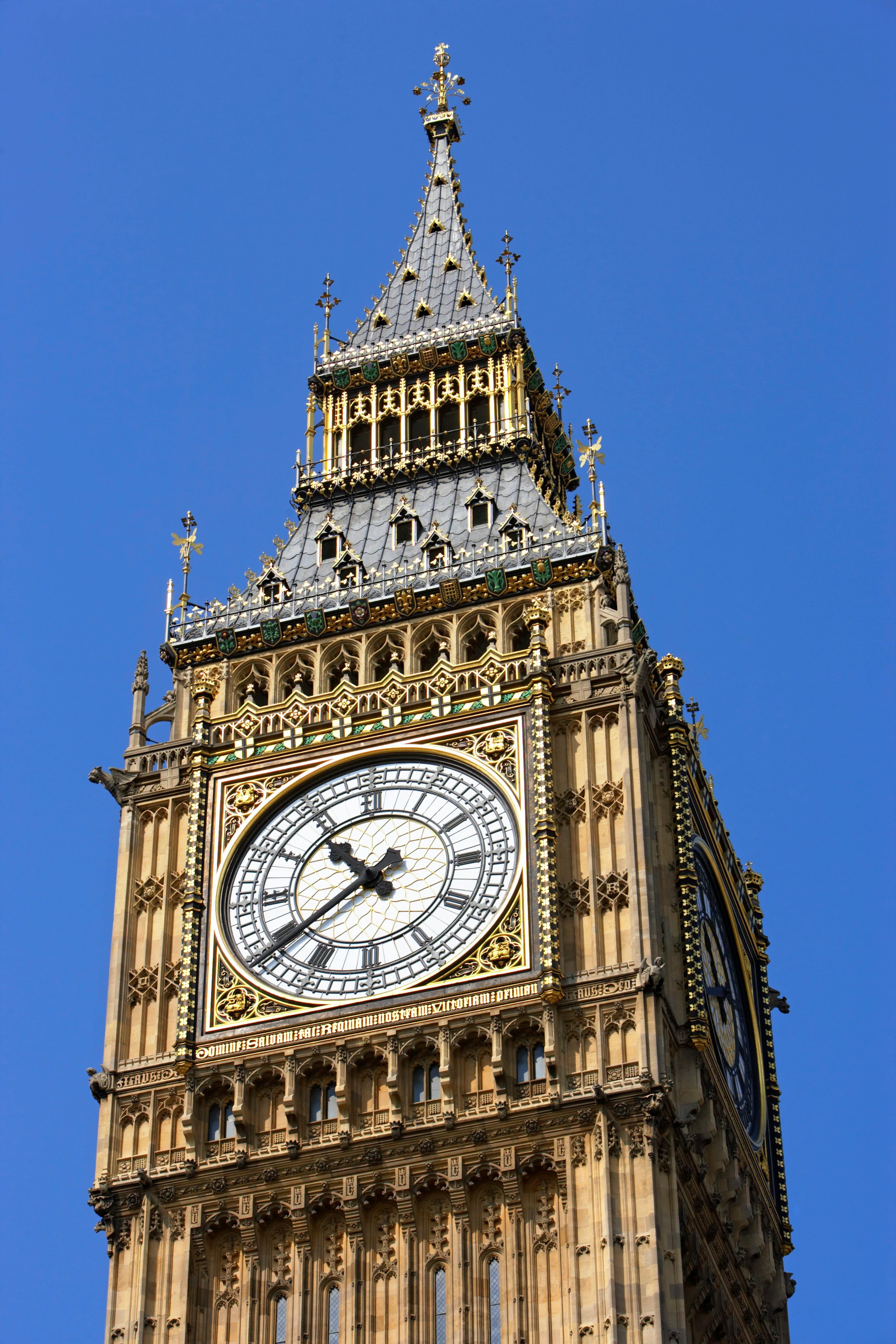 Advisor - My London: A Tale of Palaces, Pints & Perfect Moments