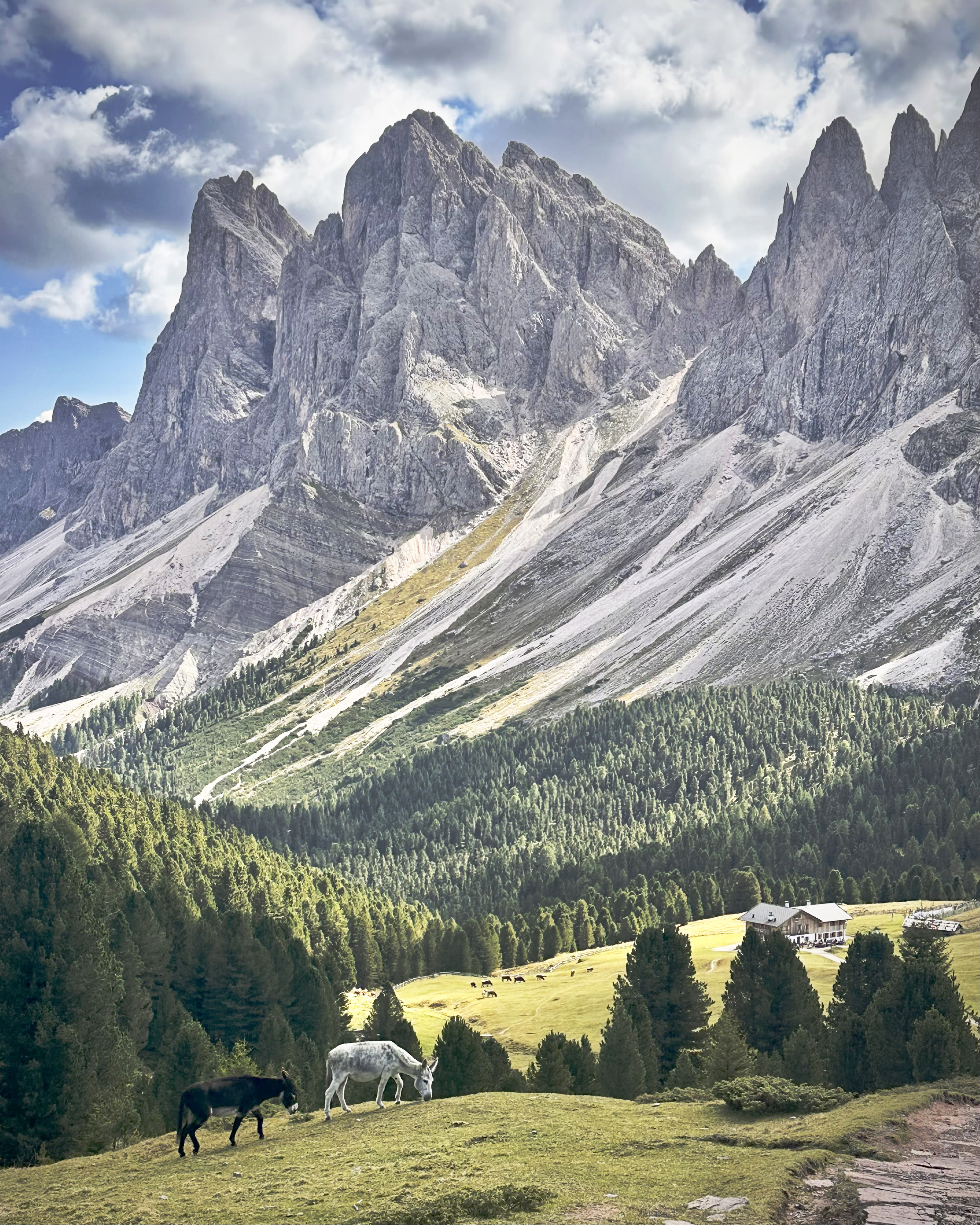 Advisor - A Dolomites Adventure: Where Michelin Stars Meet Mountain Peaks