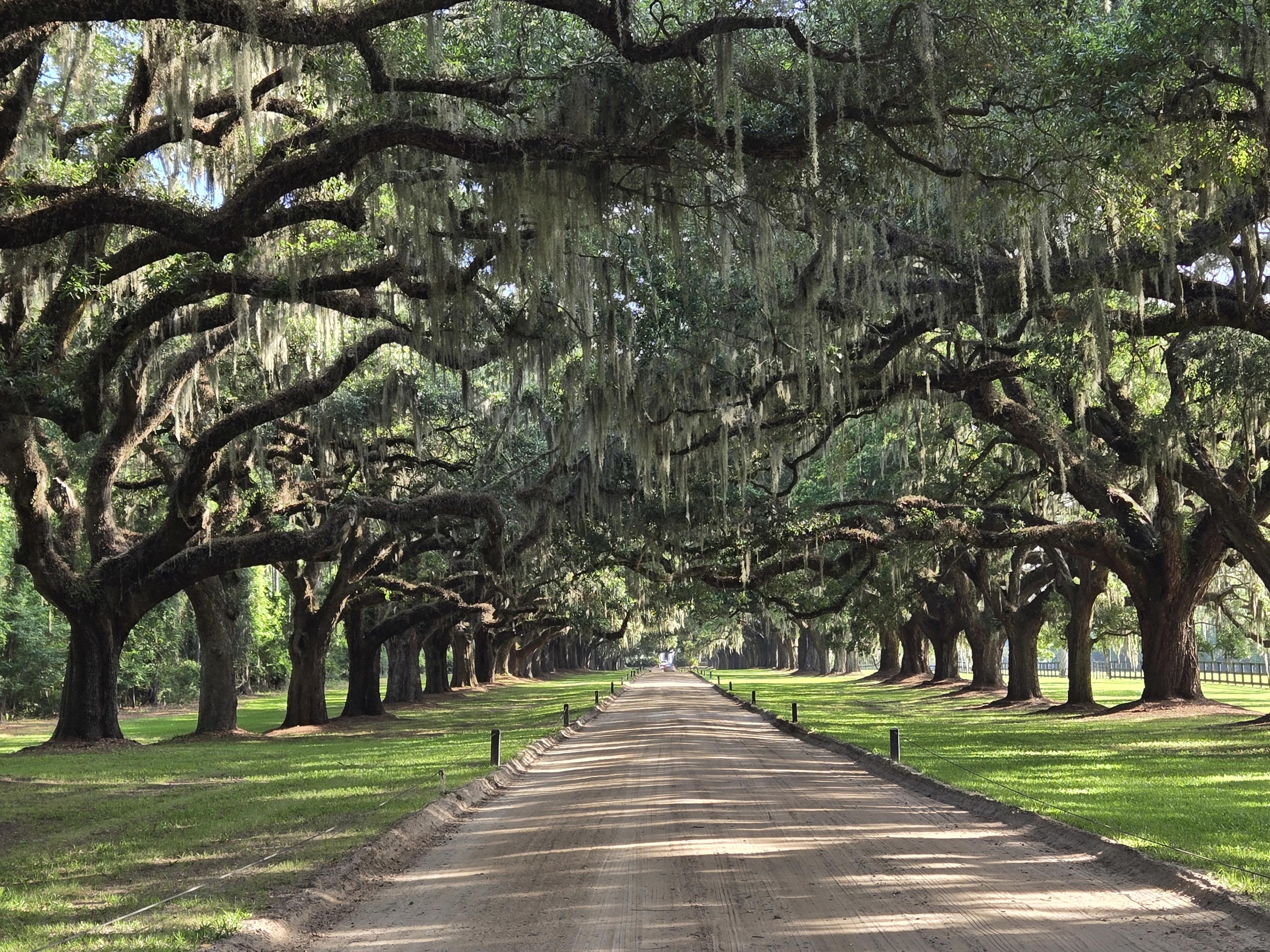 Advisor - Charleston: Southern Charm, History & The Most Gorgeous Sunset Ever