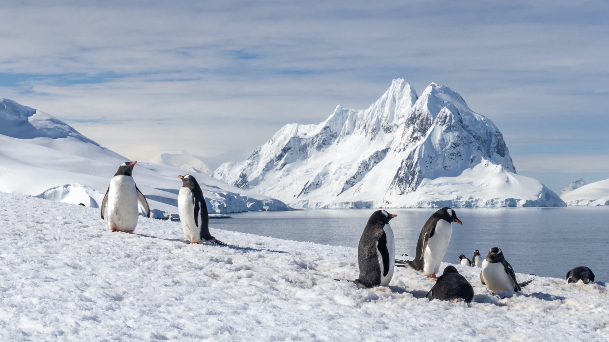 A Guide to Antarctica