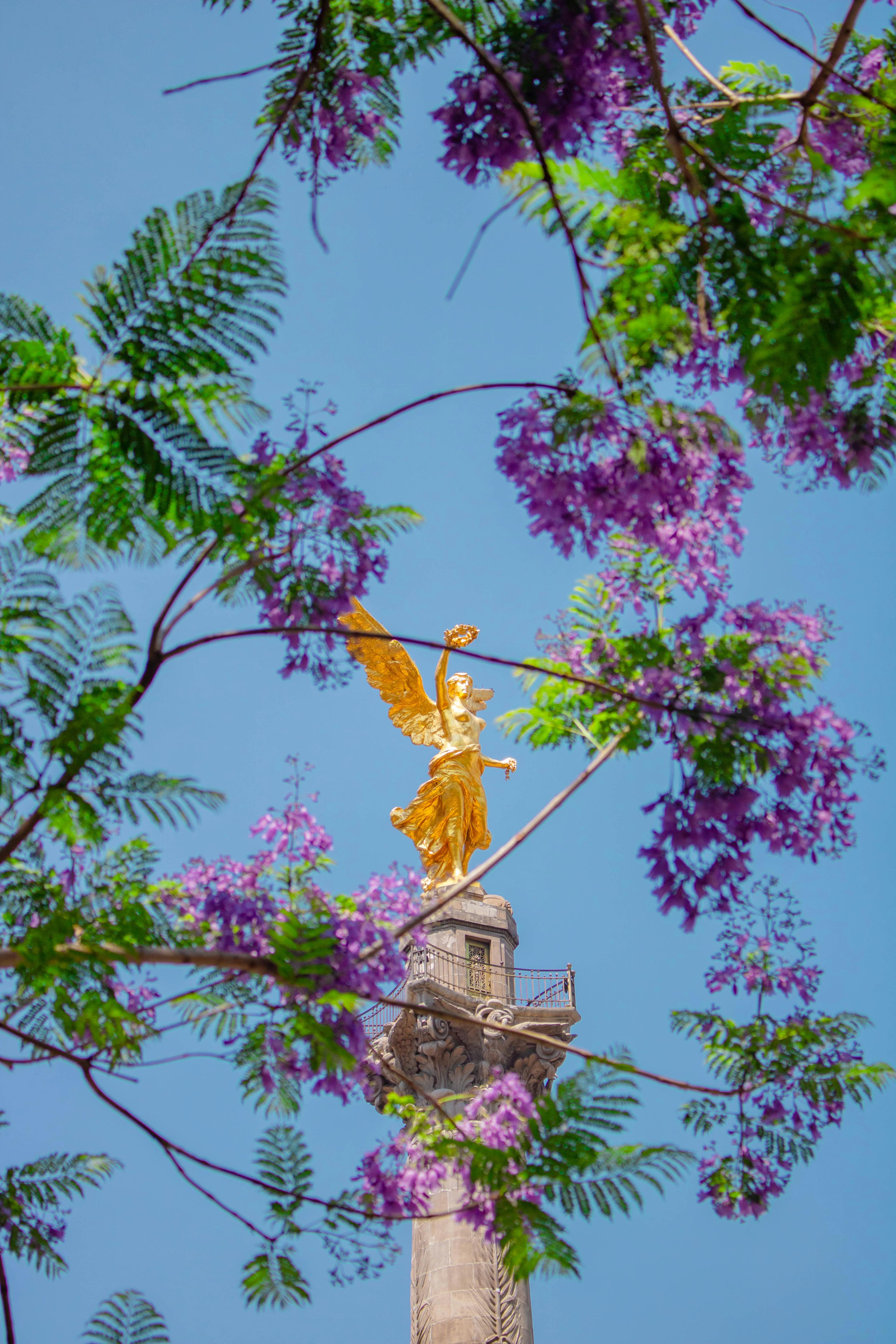 Advisor - How to Fall in Love with Mexico City in Under 72 Hours