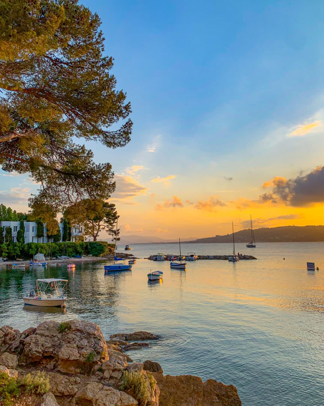Advisor - The Perfect 10-Day South of France Honeymoon: Riviera Glamour & Provençal Romance