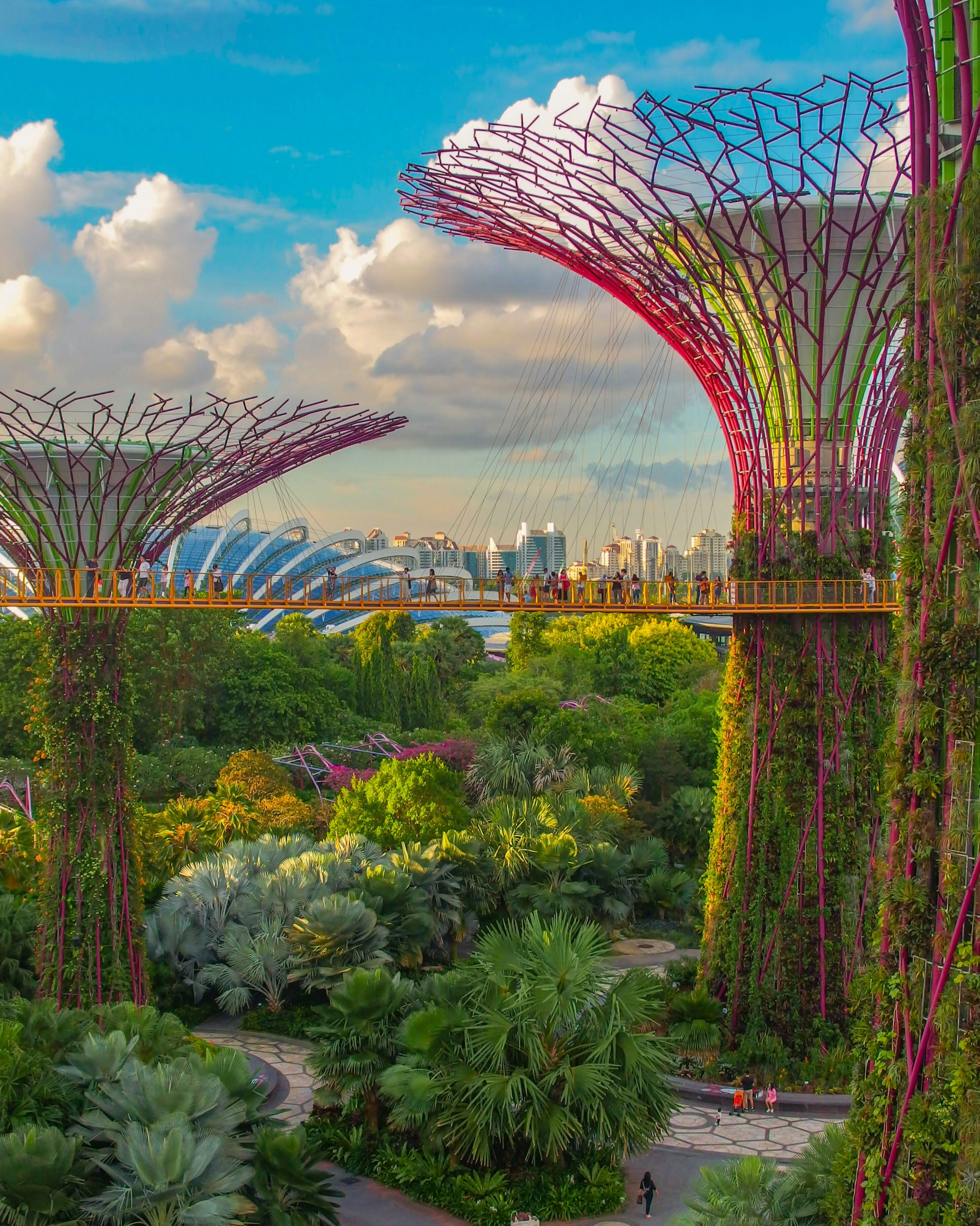 Advisor - From Hawker Stalls to Sky Gardens: Finding Magic in Singapore