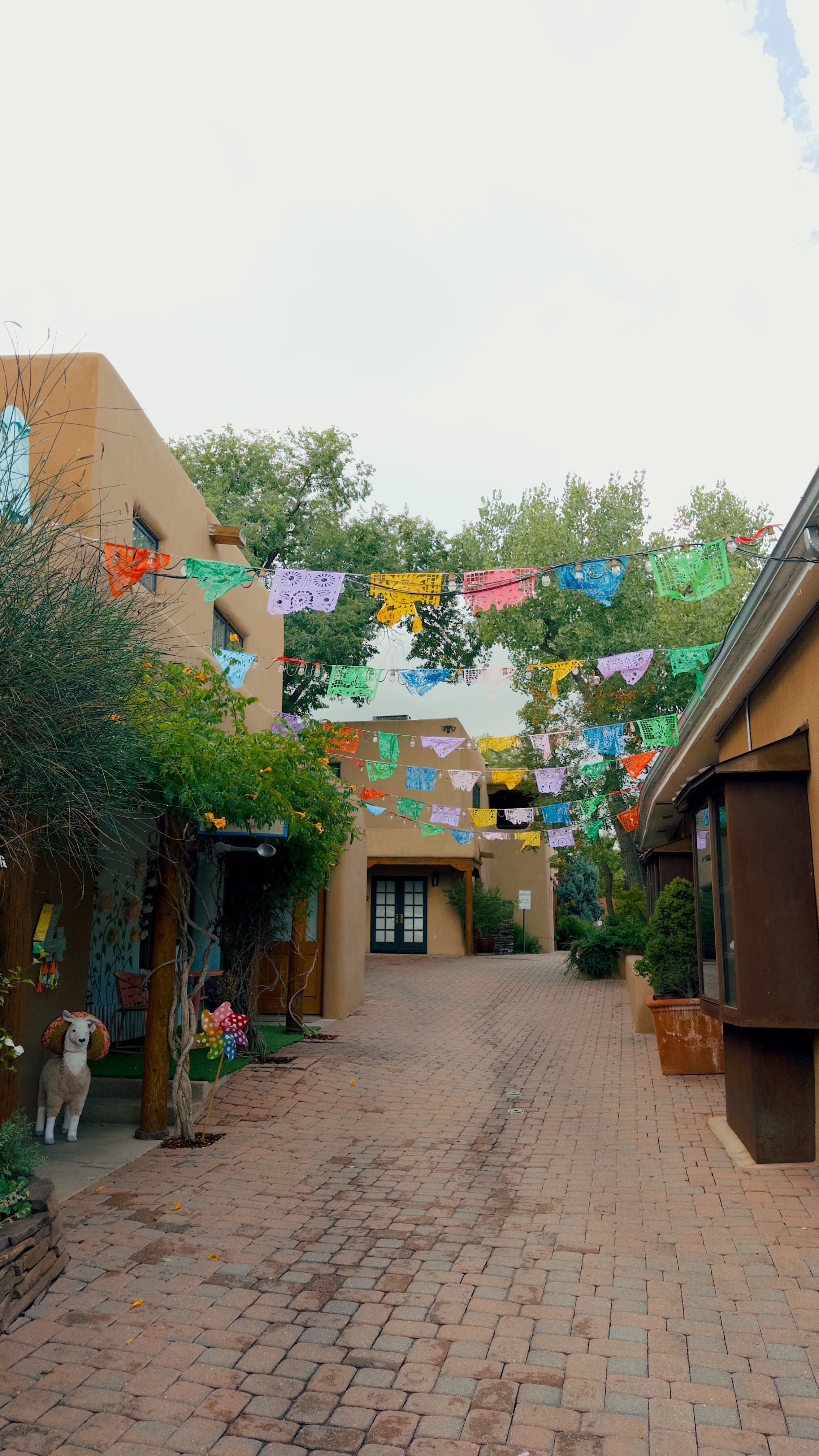 Advisor - A Dog-Friendly Weekend in Santa Fe