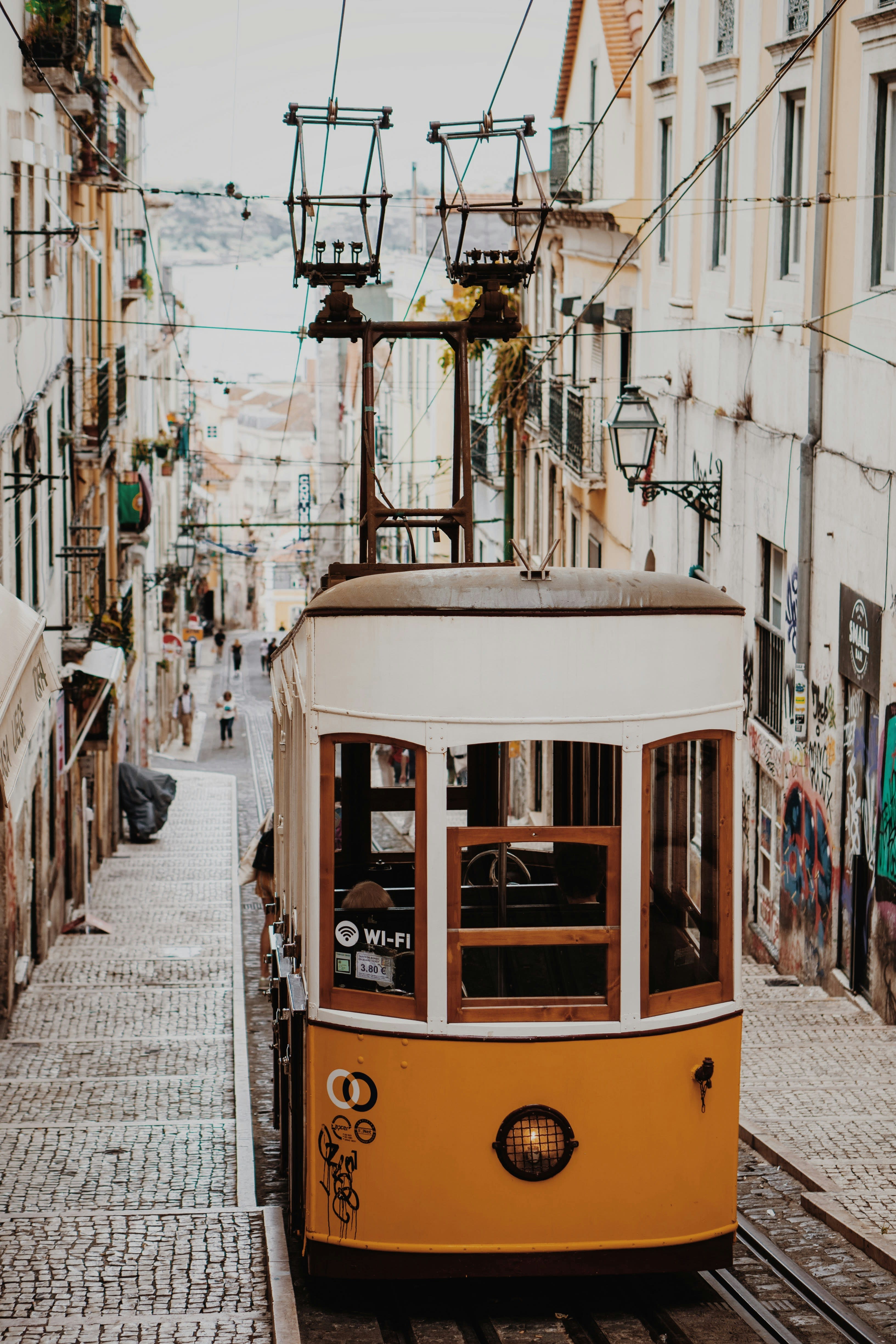 Advisor - One Week in Portugal: A Culinary Journey Through Lisbon, Porto & the Douro Valley