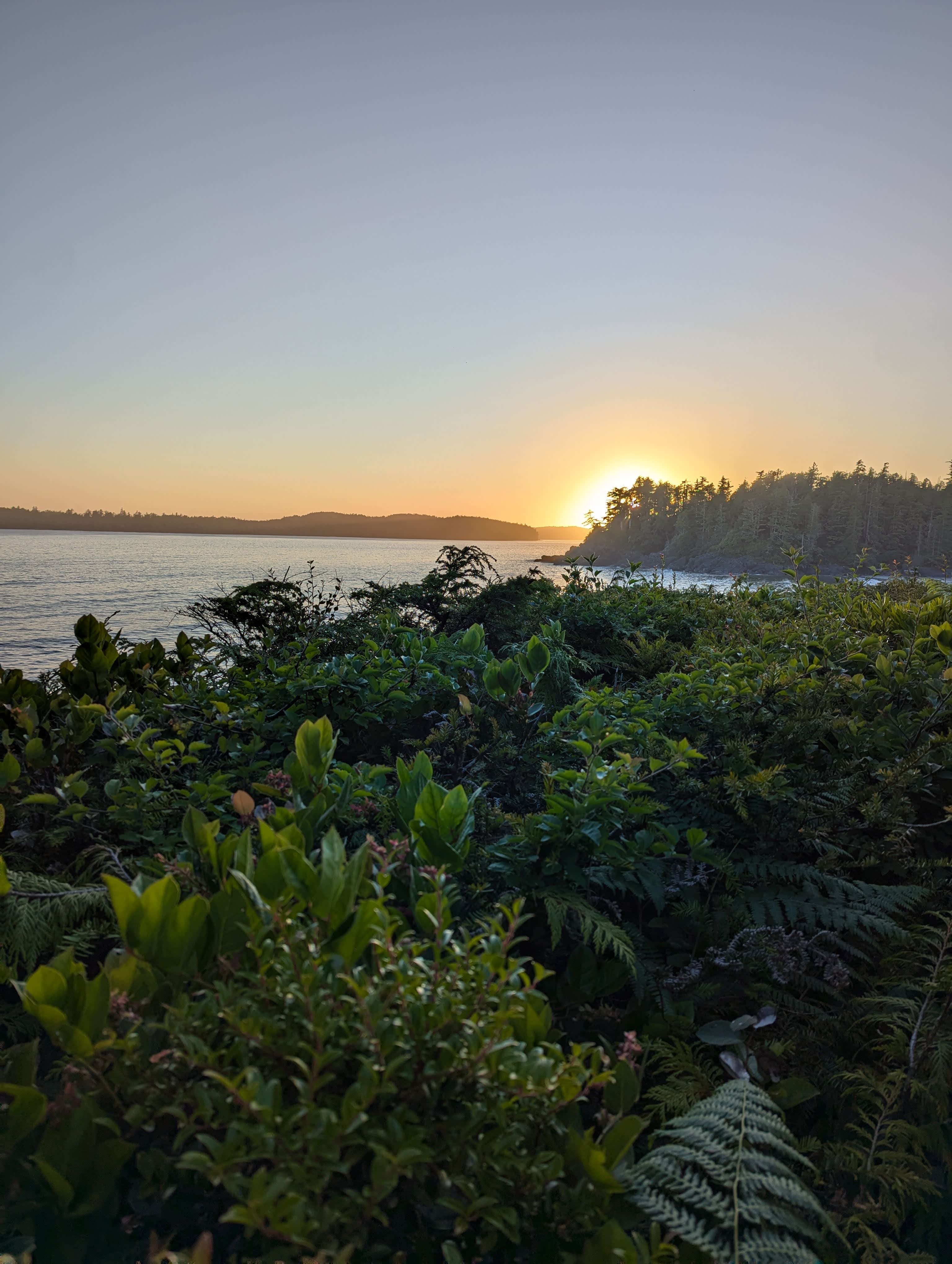 Advisor - Coastal Romance Awaits: A Couple’s Getaway to Tofino, British Columbia
