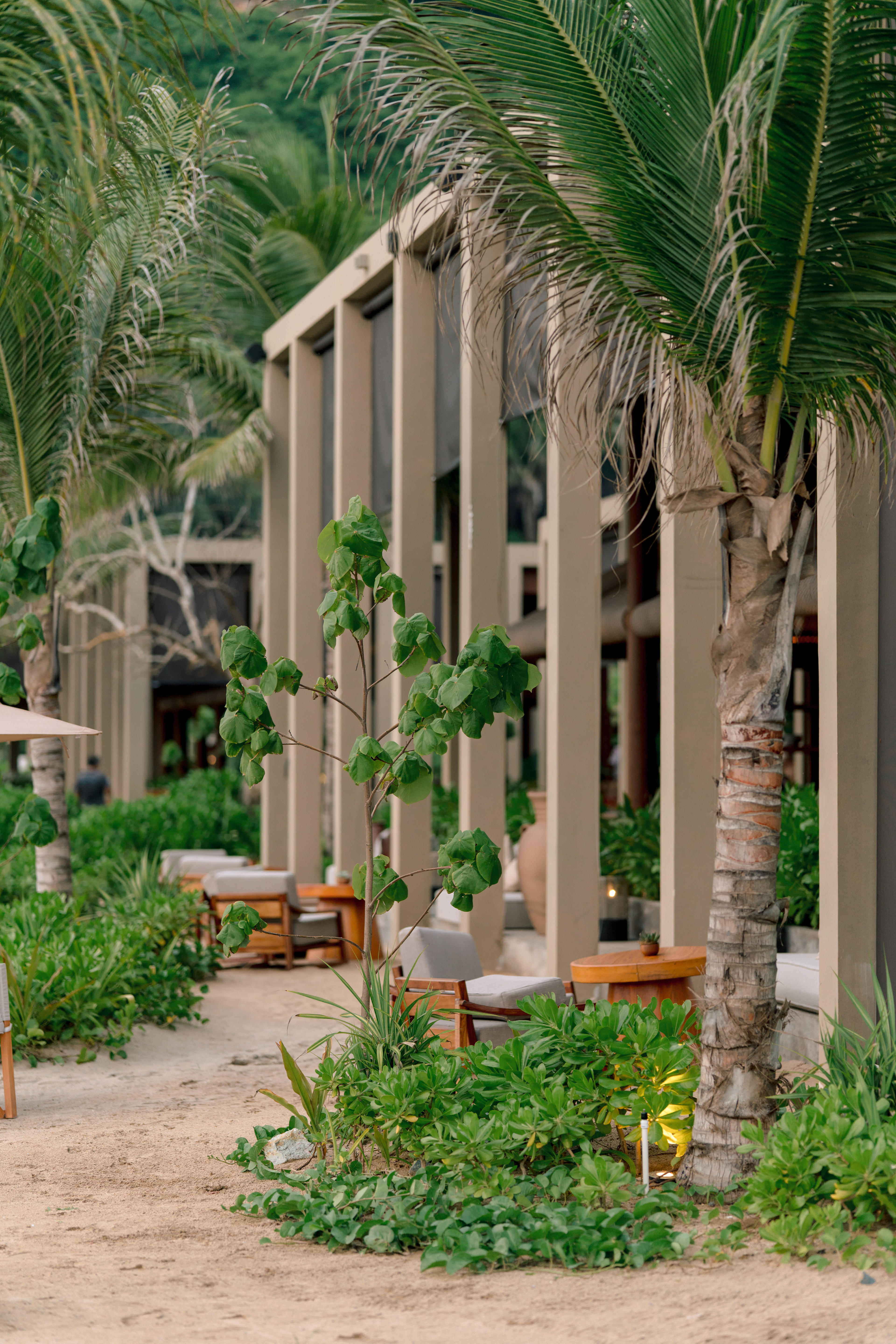 Rosewood Mandarina: A Warm, Luxurious Welcome on Riviera Nayarit