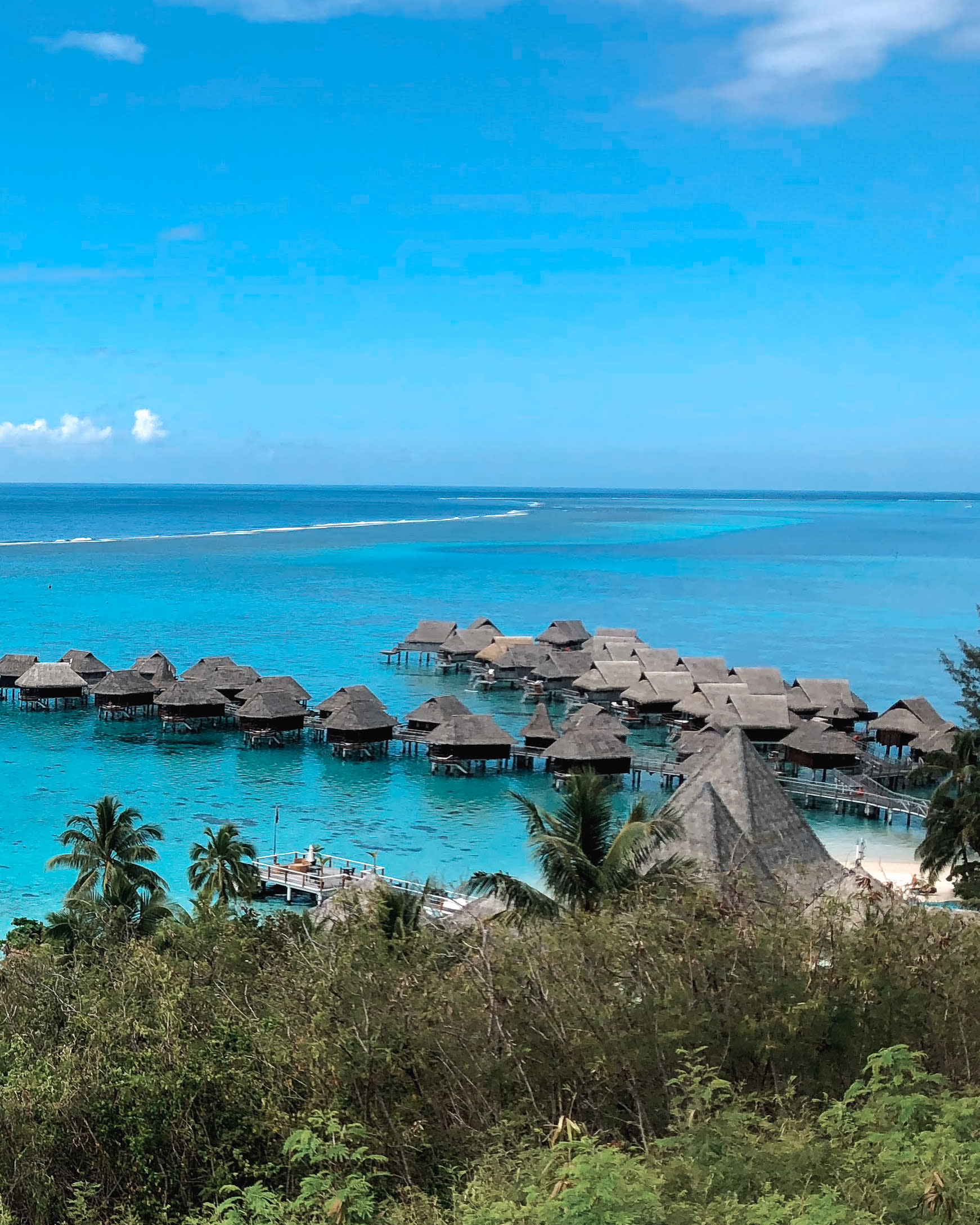 Advisor - A Local's Guide to Magical Mo'orea