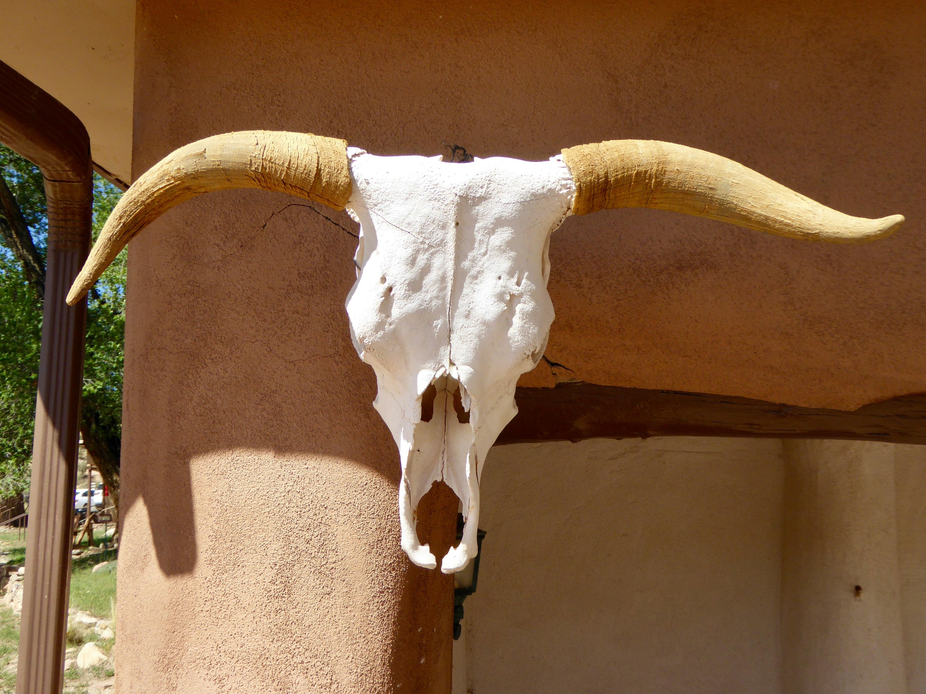 Advisor - 5-Day Santa Fe Itinerary: The Ultimate Wellness Girls Trip Guide