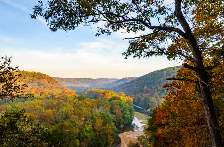 Advisor - The Bluegrass Loop: A 5-Day Dive into Kentucky's Wild Heart