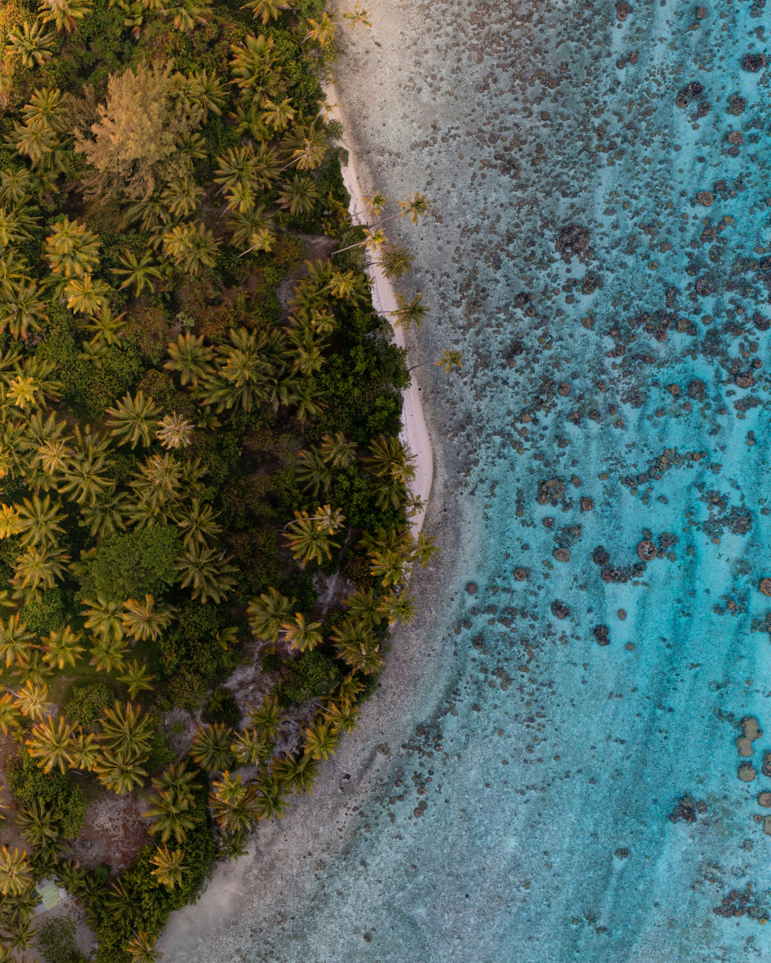 Advisor - The Best of Tahiti: A 3-Day Itinerary