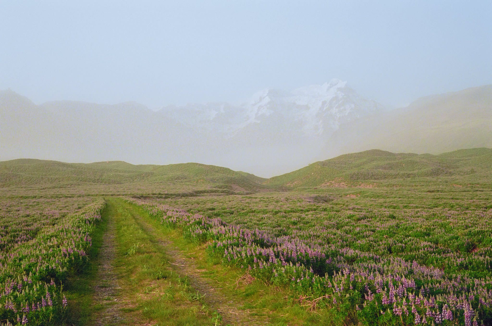 Advisor - The Ultimate 7-Night Iceland Itinerary