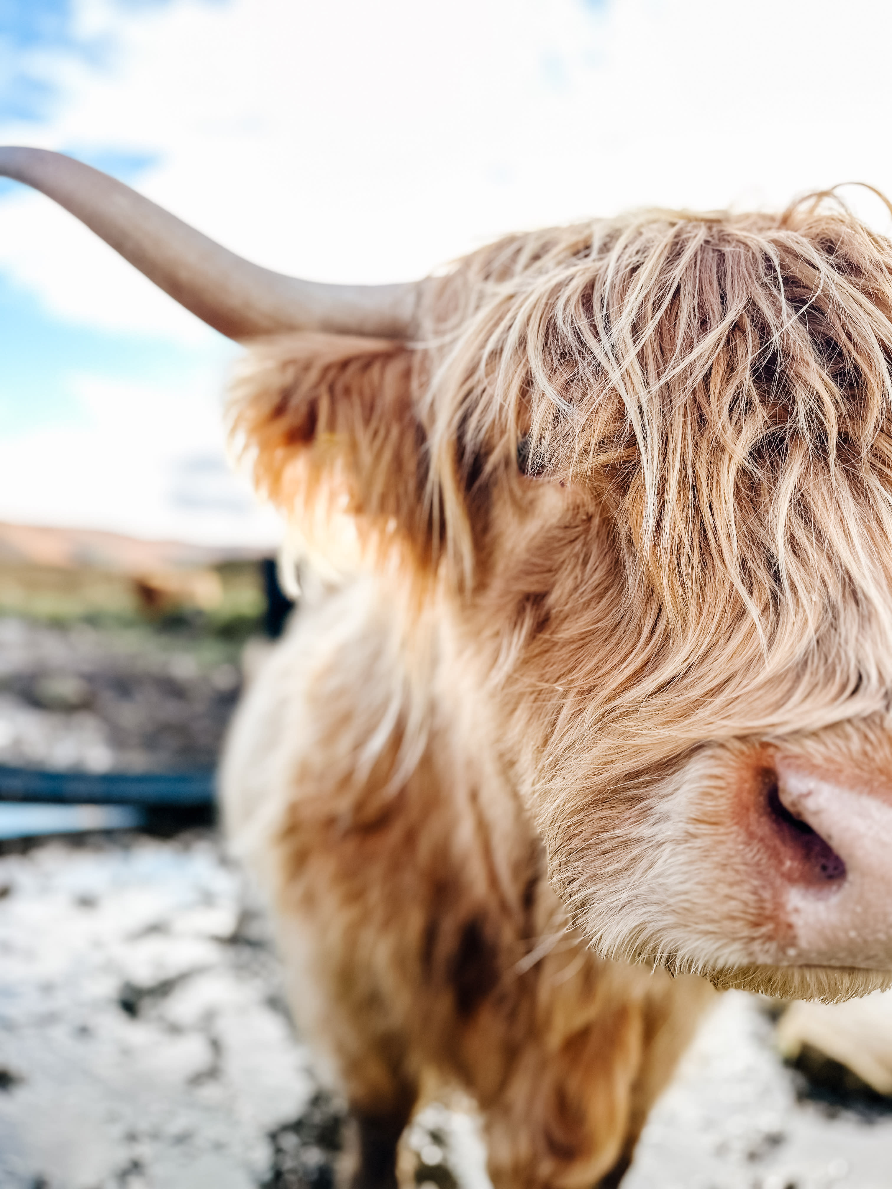 Advisor - Scotland Unveiled: Edinburgh & The Highlands