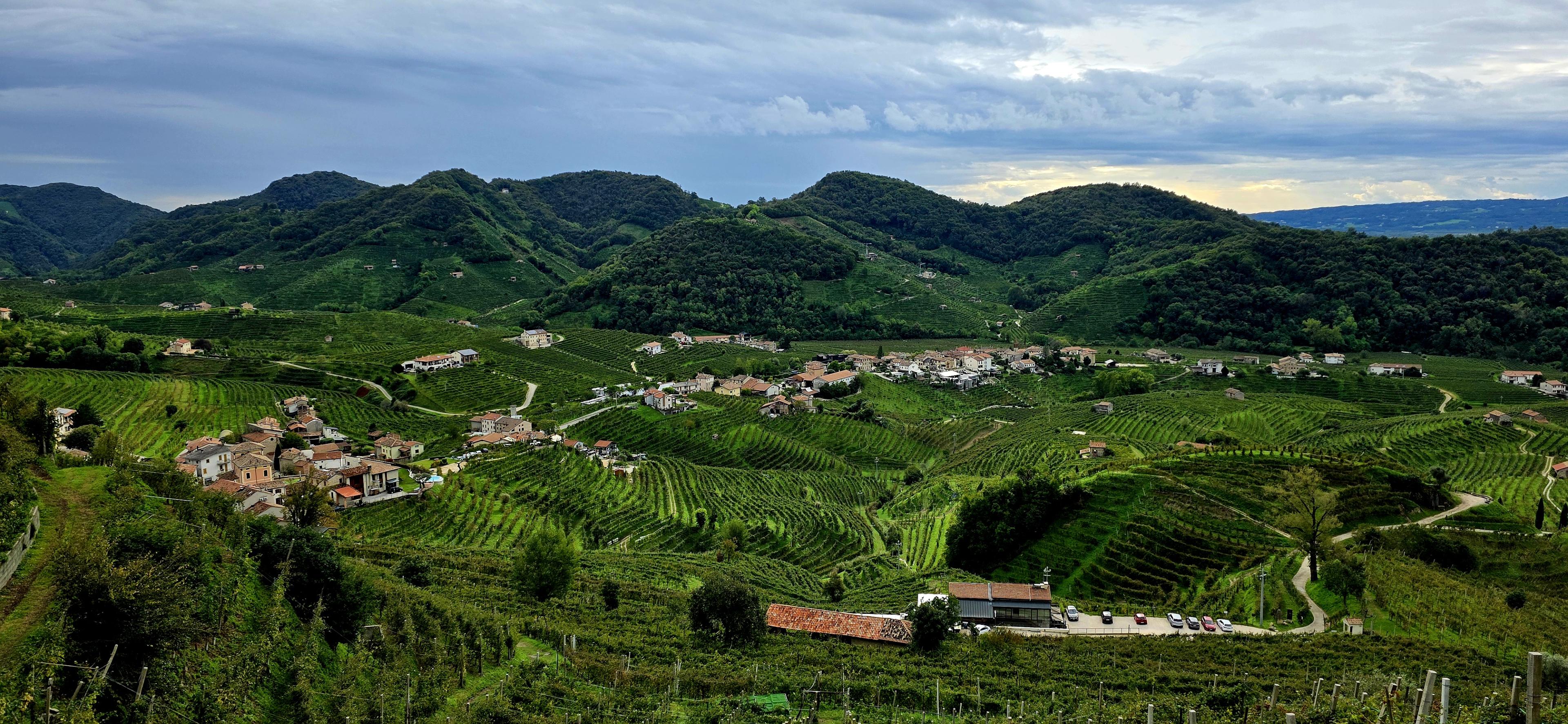 Bubbles Across Borders: A Sparkling Journey Through Cava, Champagne & Prosecco