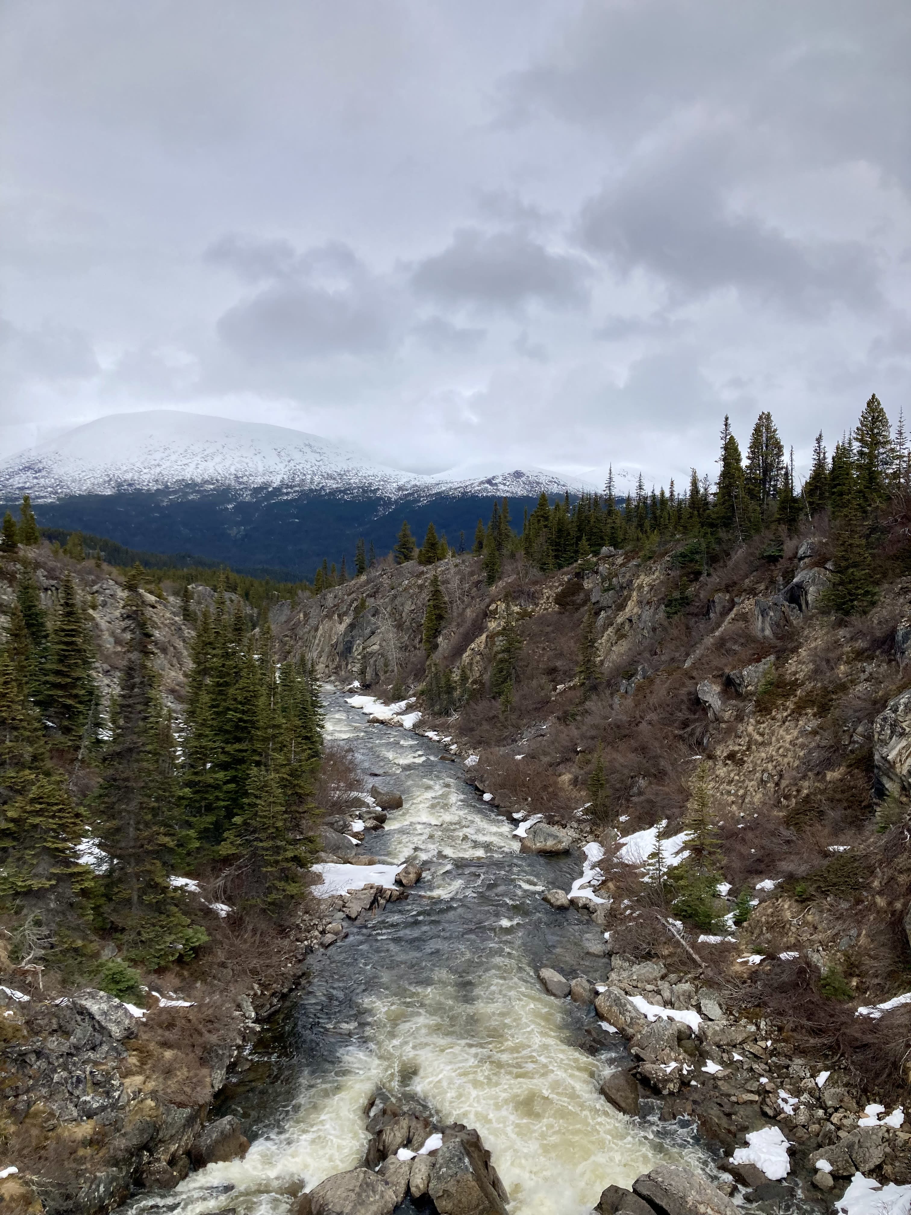 Exploring Skagway: Family, Rails & Gold Rush Tales